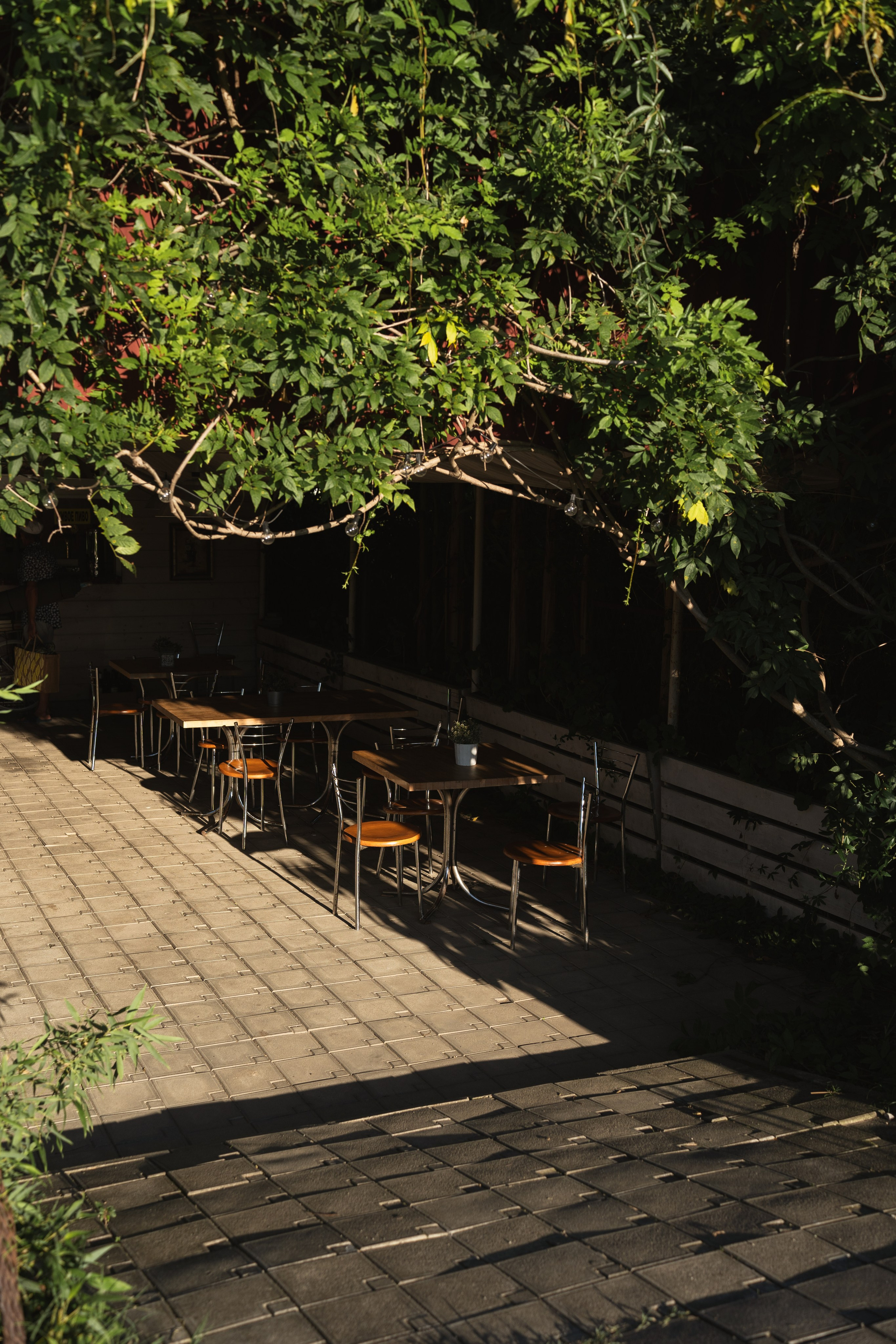 Фотографии из поездки в Абхазию. Предметный фотограф Санкт-Петербург