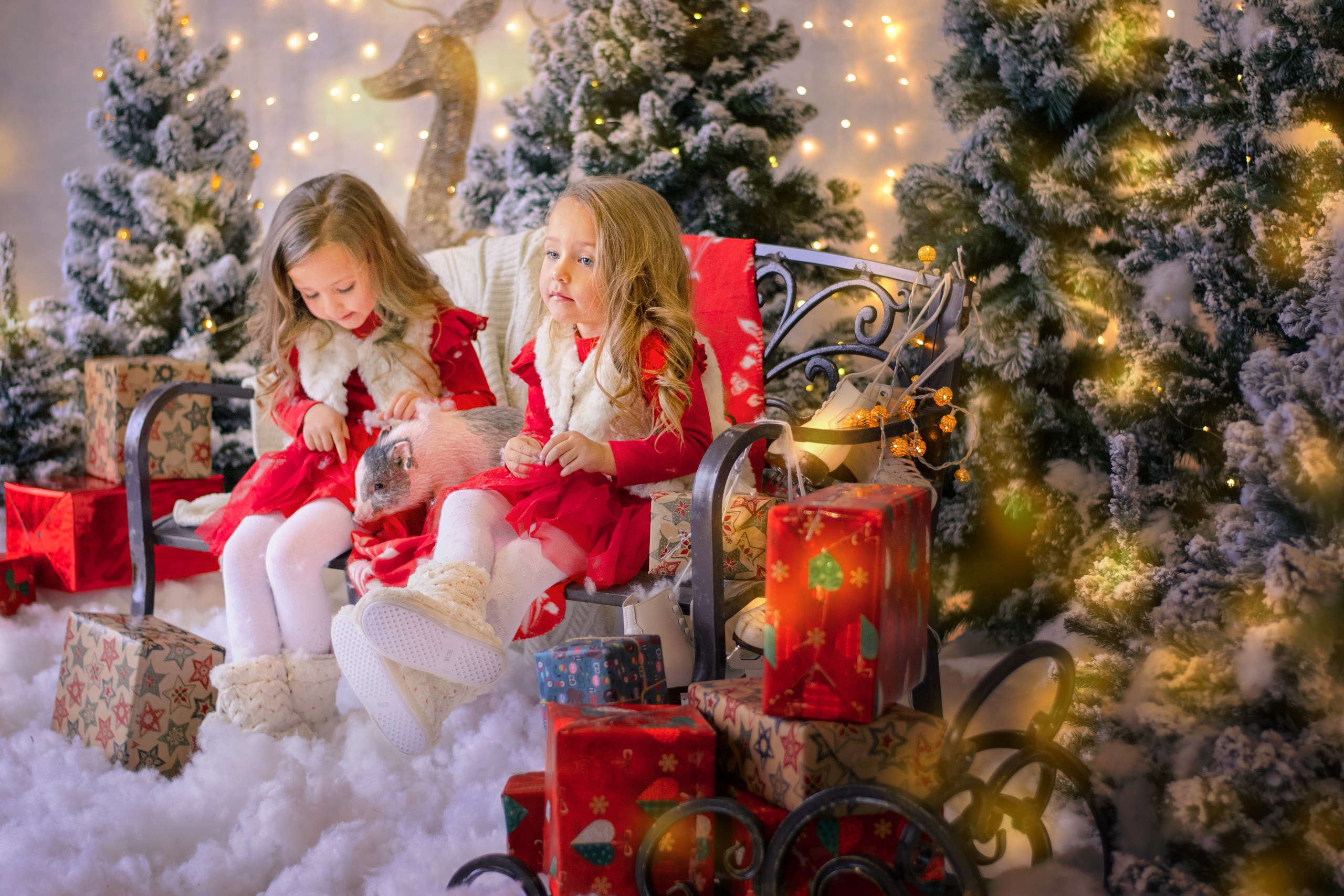 Детская съёмка в студии. Семейный и свадебный фотограф в Москве Нина Гусева