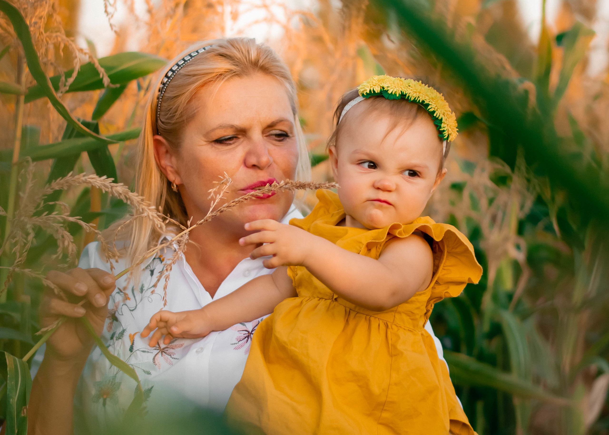 Фотосессия в кукурузе. Семейный и свадебный фотограф в Москве Нина Гусева
