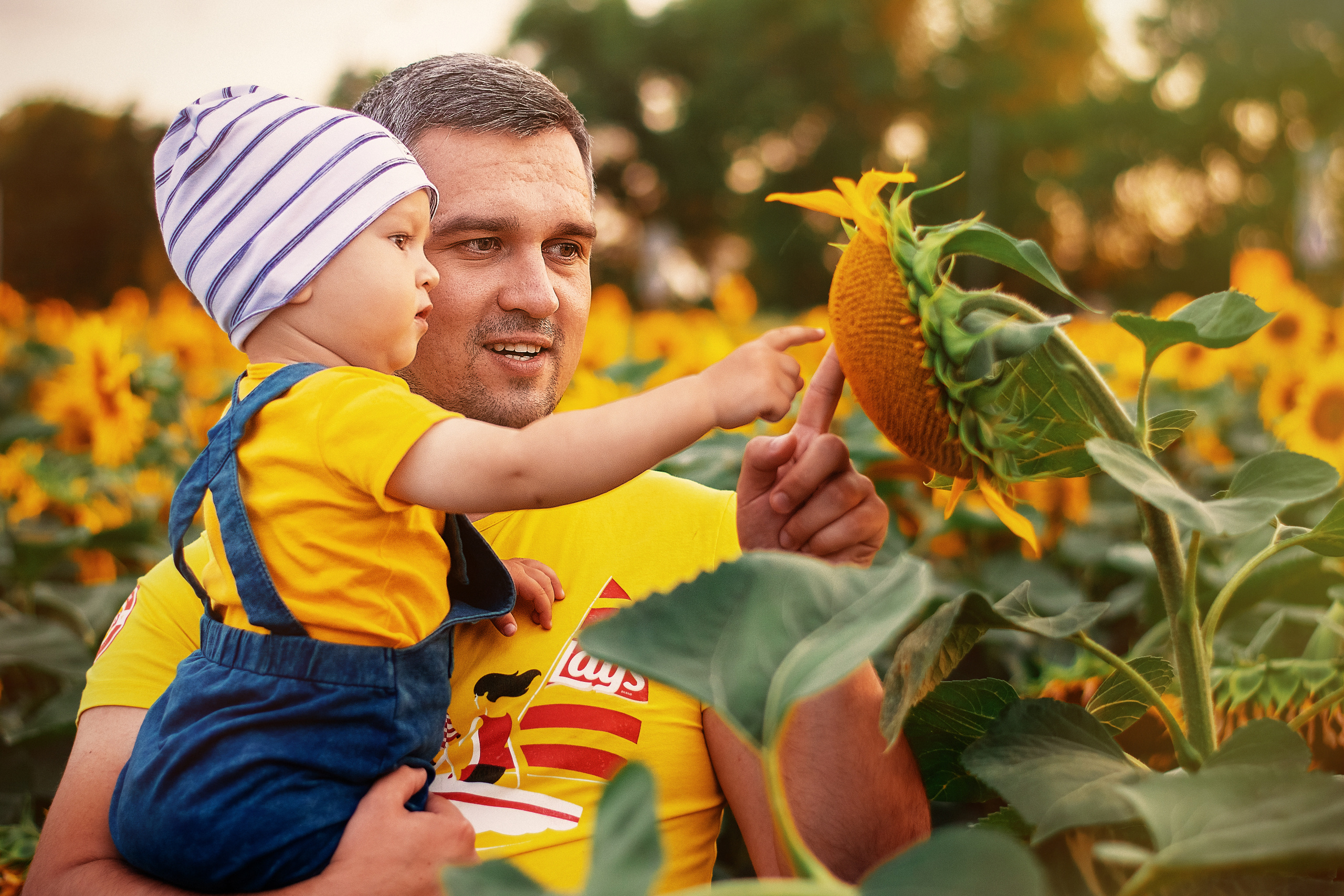 Фотосессия в подсолнухах. Семейный и свадебный фотограф в Москве Нина Гусева