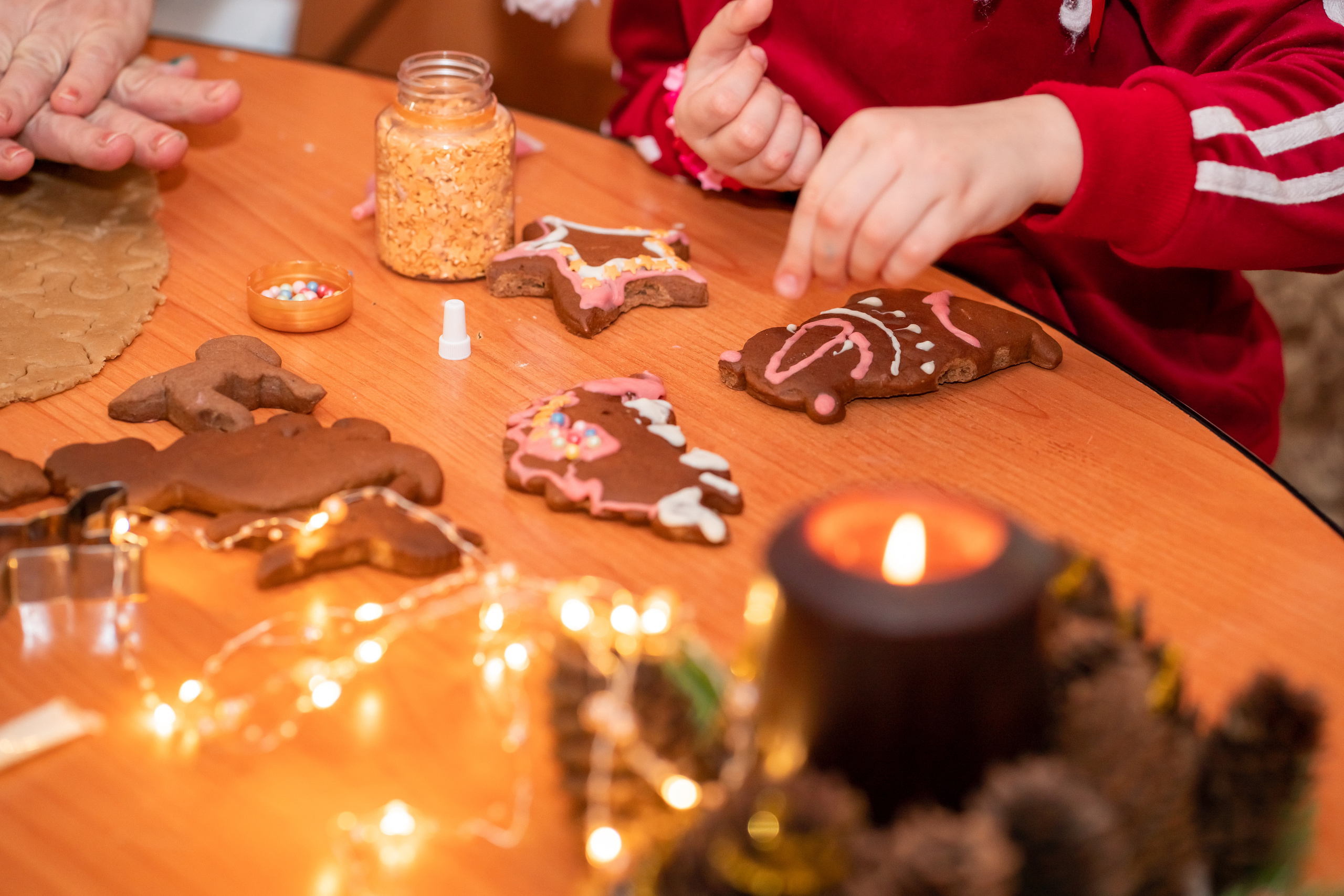 Новогодняя фотосессия дома. Семейный и свадебный фотограф в Москве Нина Гусева