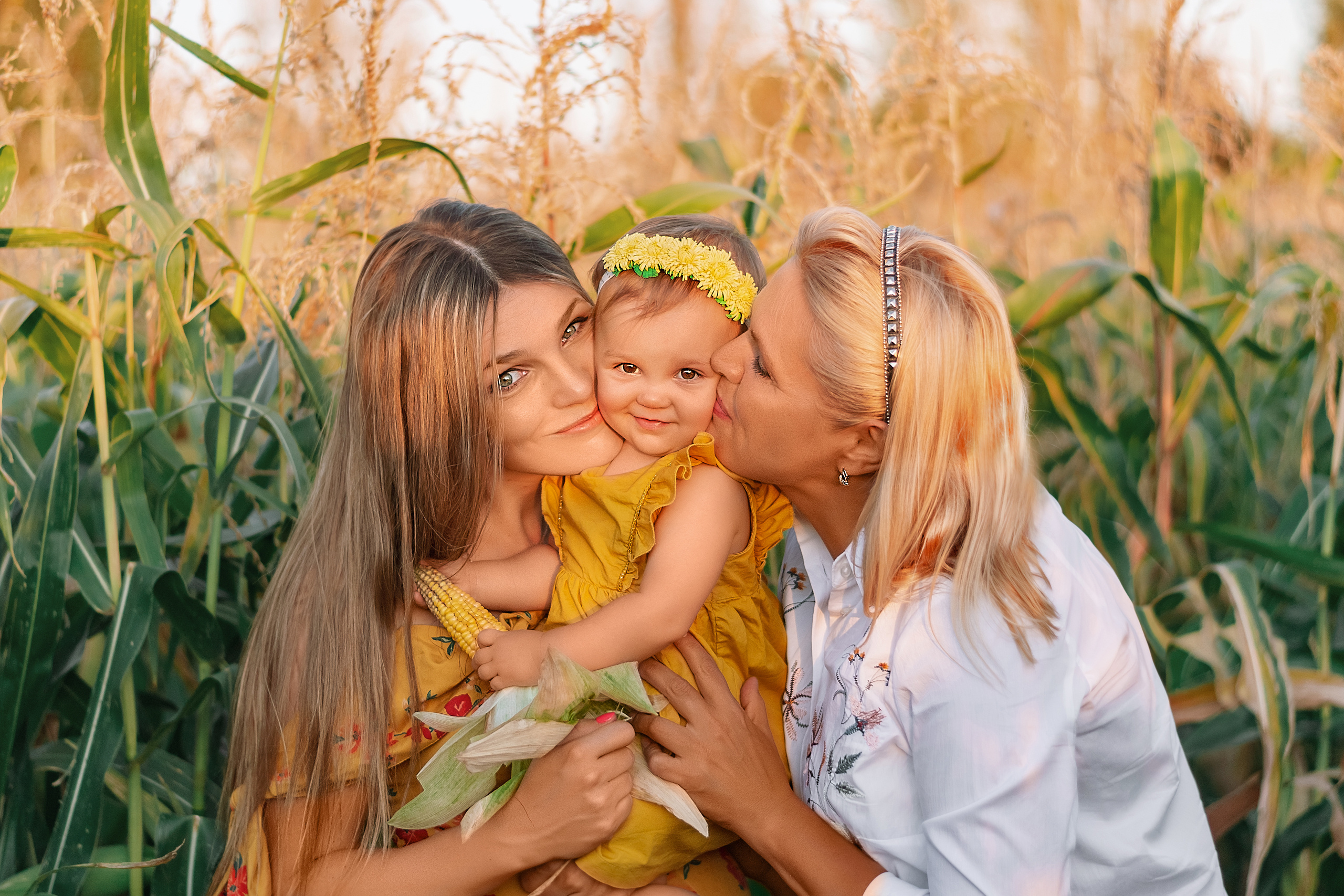 Фотосессия в кукурузе. Семейный и свадебный фотограф в Москве Нина Гусева