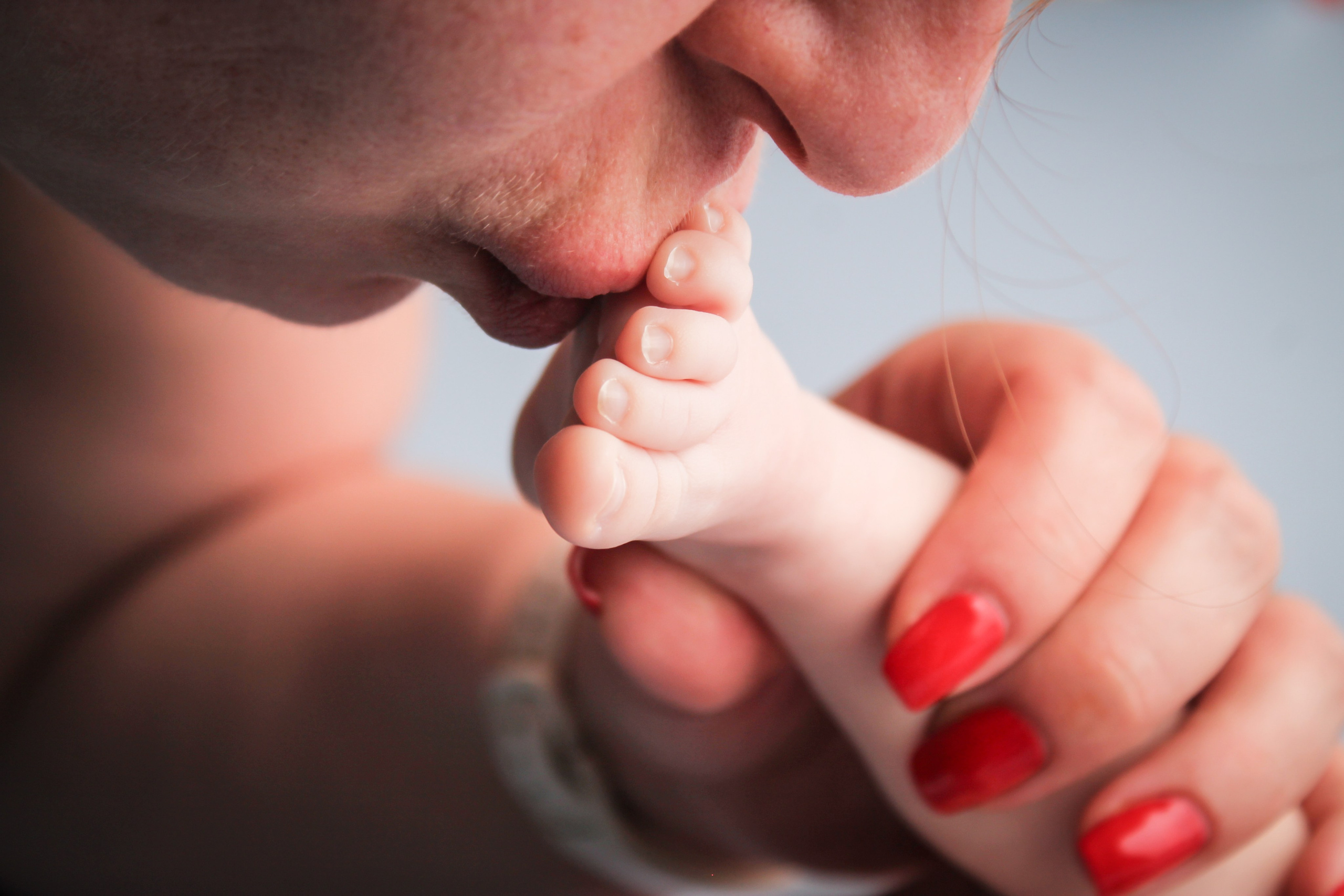 Пелег. Photograper Israel/фотограф Израиль. ALINA TARAN