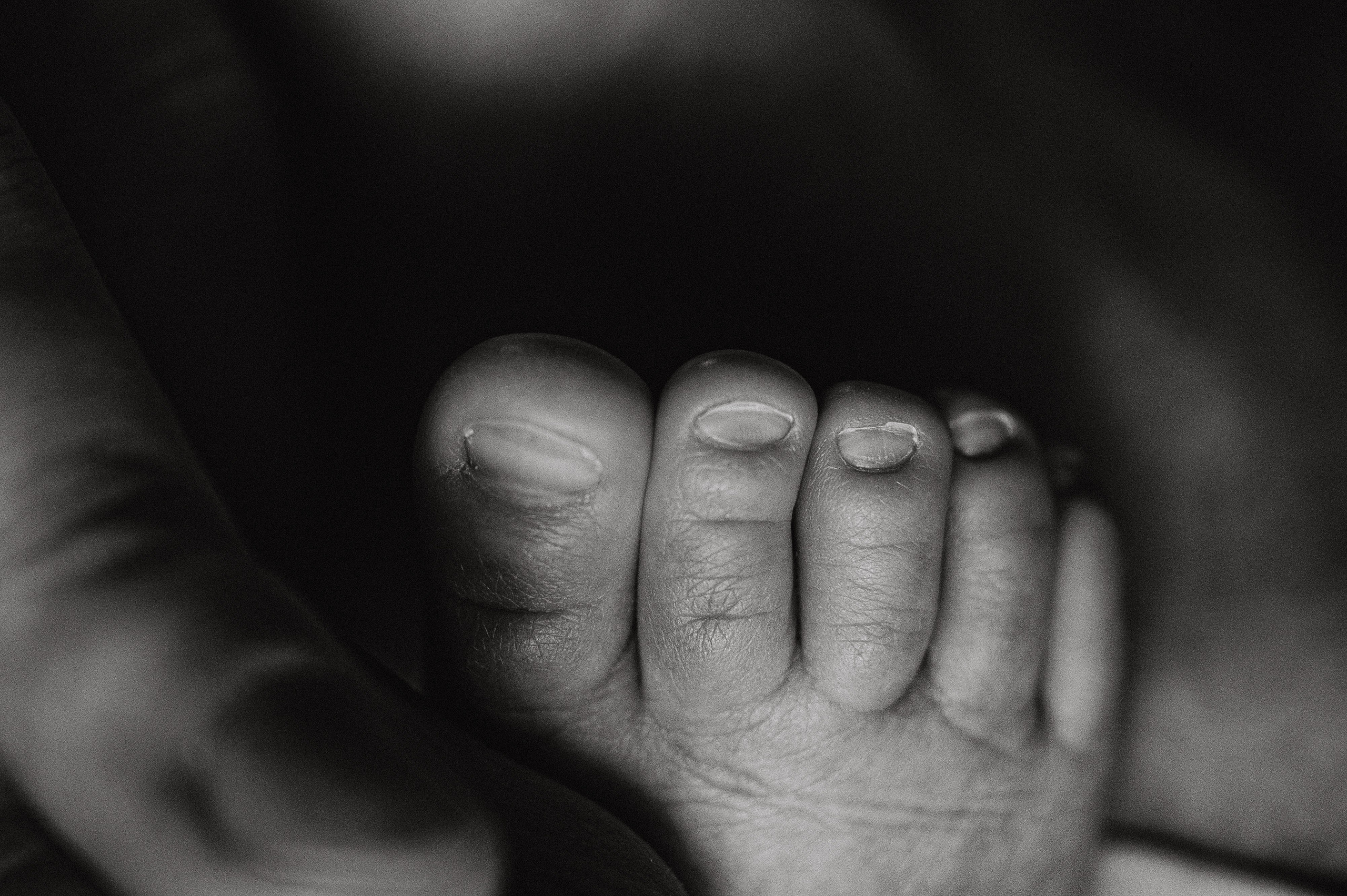 Иван, Ксения и Лев. Фотограф беременности и семьи, домашние съемки, Ньюборн