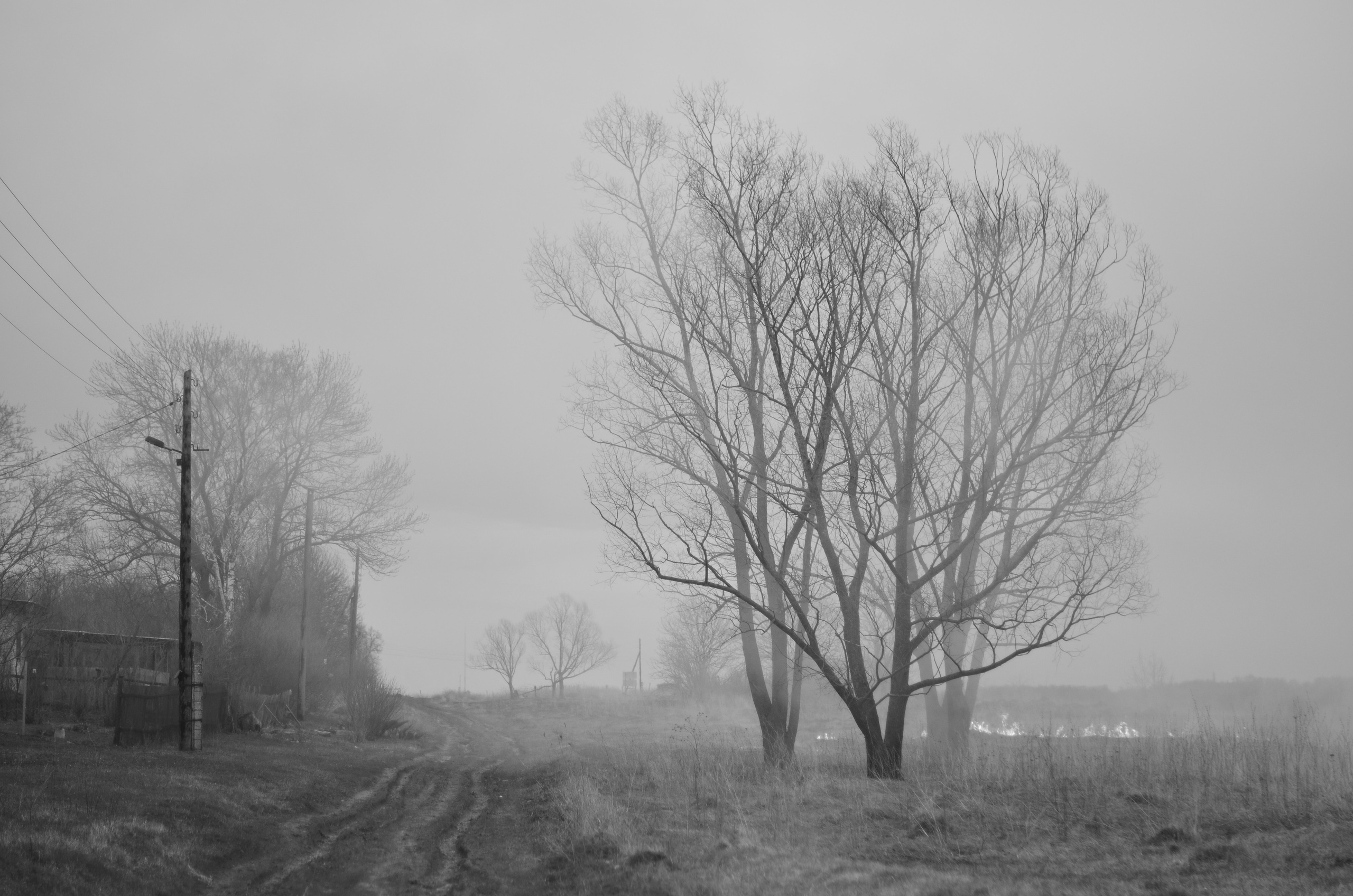 Пожары. Анна Хвалина