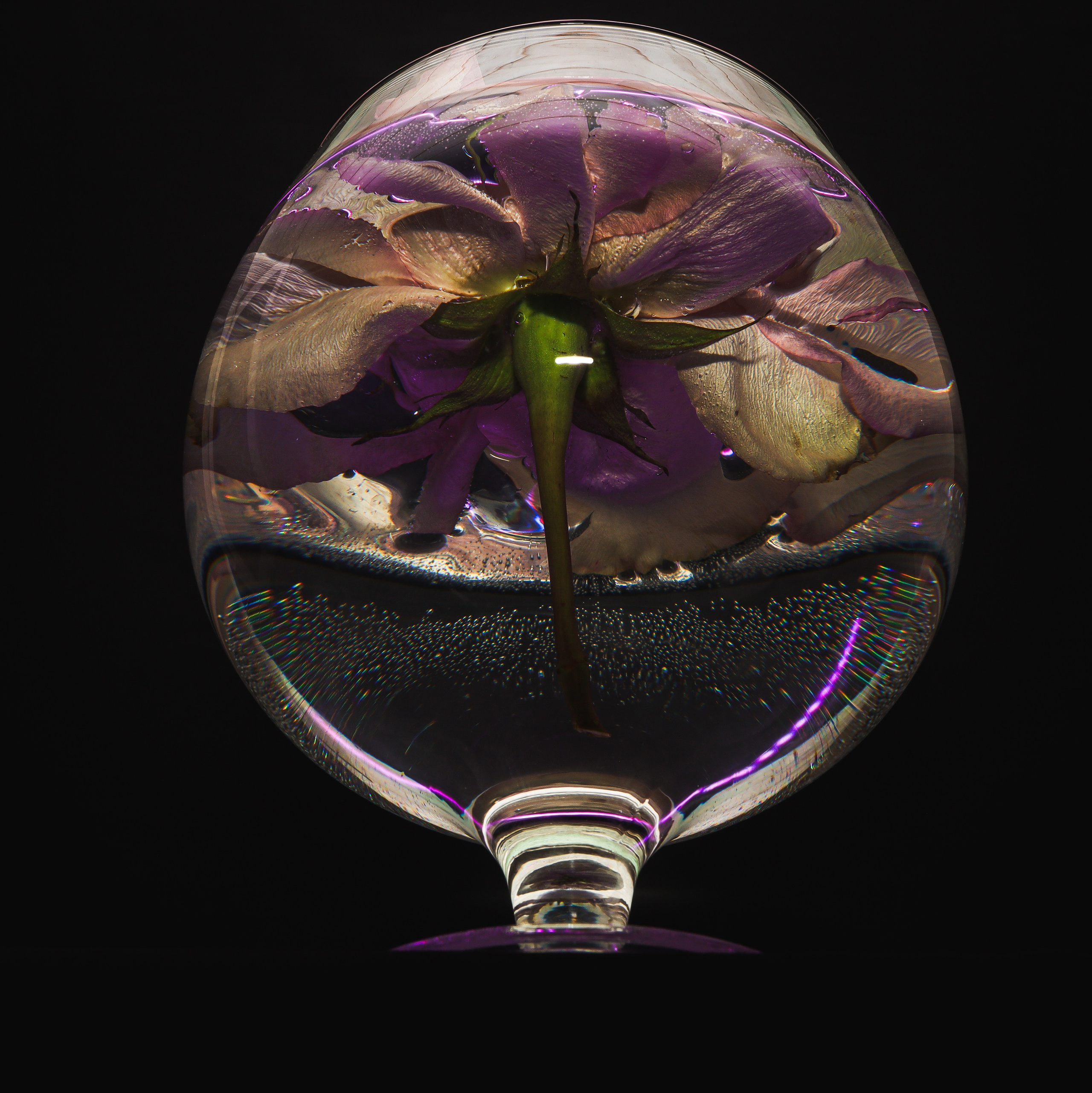 " Самый здоровый ответ на жизнь  -  это радость "