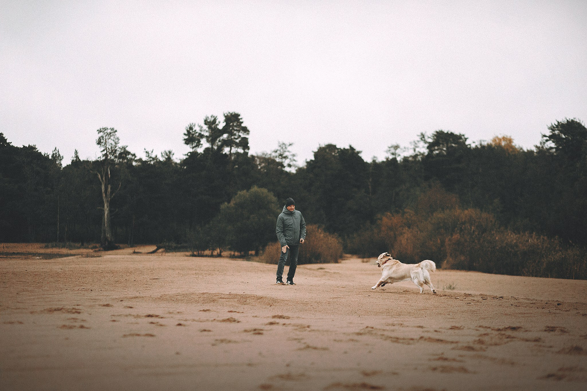 Барли, Фортис. Фотограф-анималист • love-story • Санкт-Петербург
