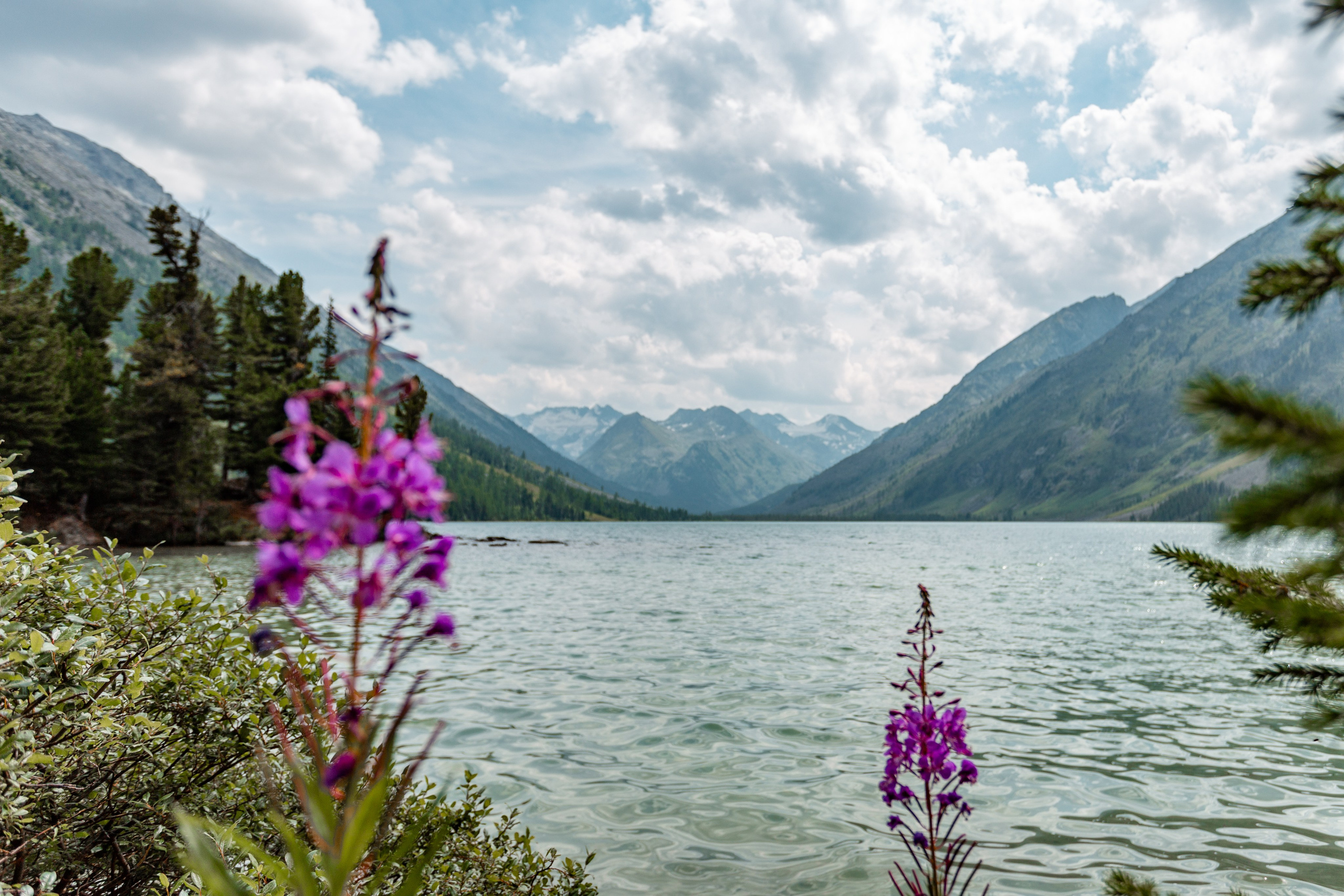 Катунский заповедник, Республика Алтай. Репортажный фотограф в Крыму Ксения Гасица