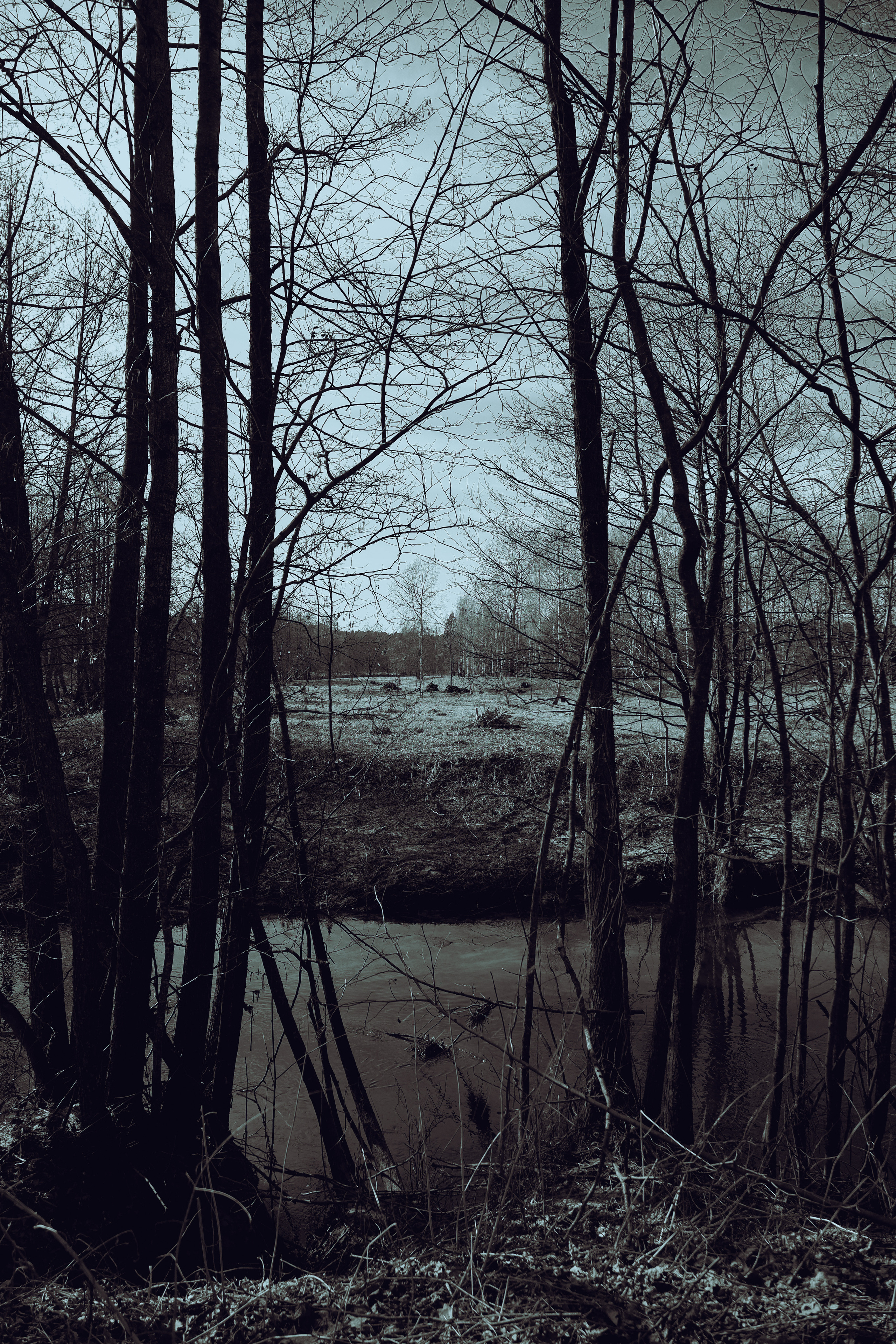 ЧБ  пейзажи (BnW landscape). Фотограф (photographer) Lischinski Vitaliy