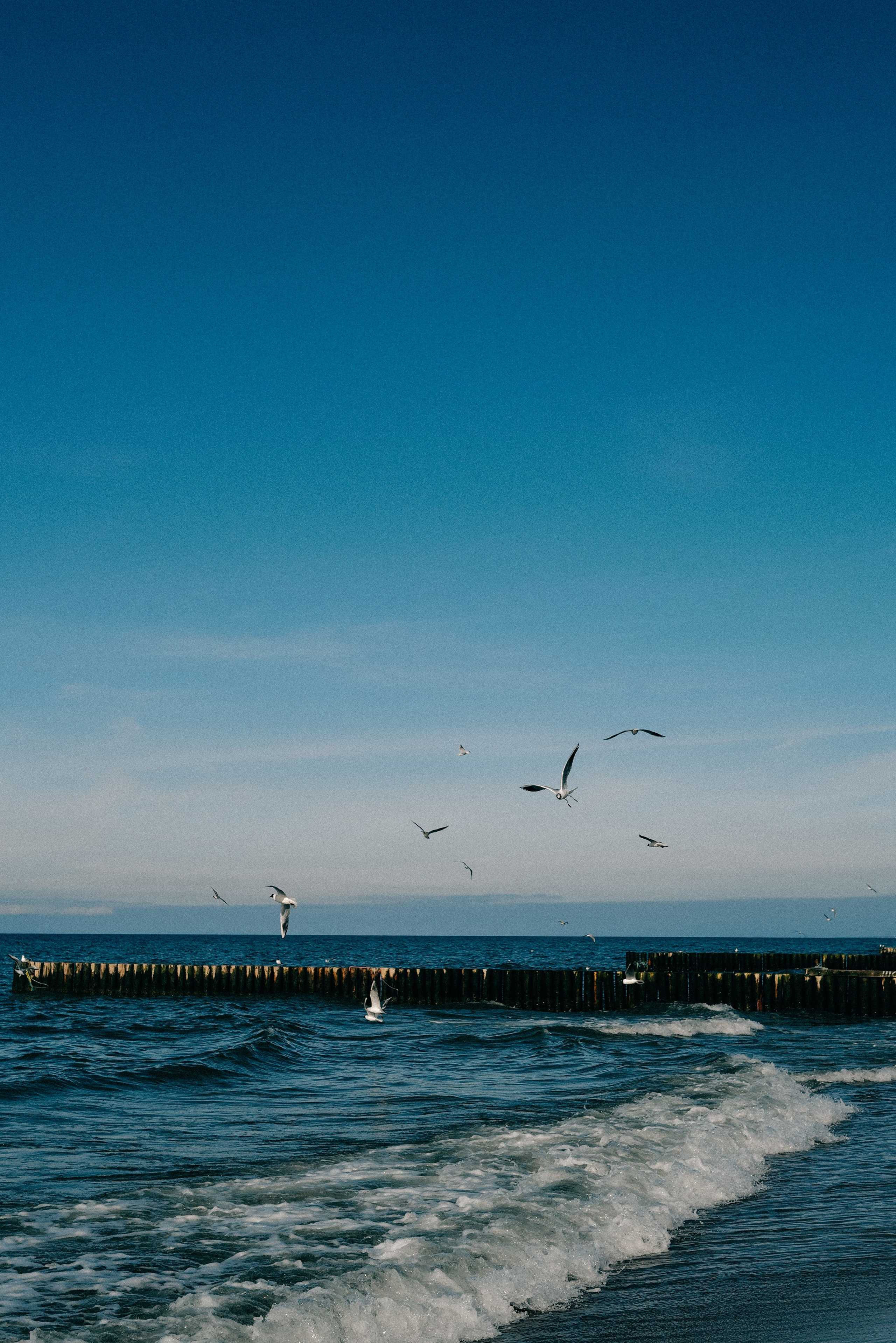 Zelenogradsk. Фотограф София Комкина