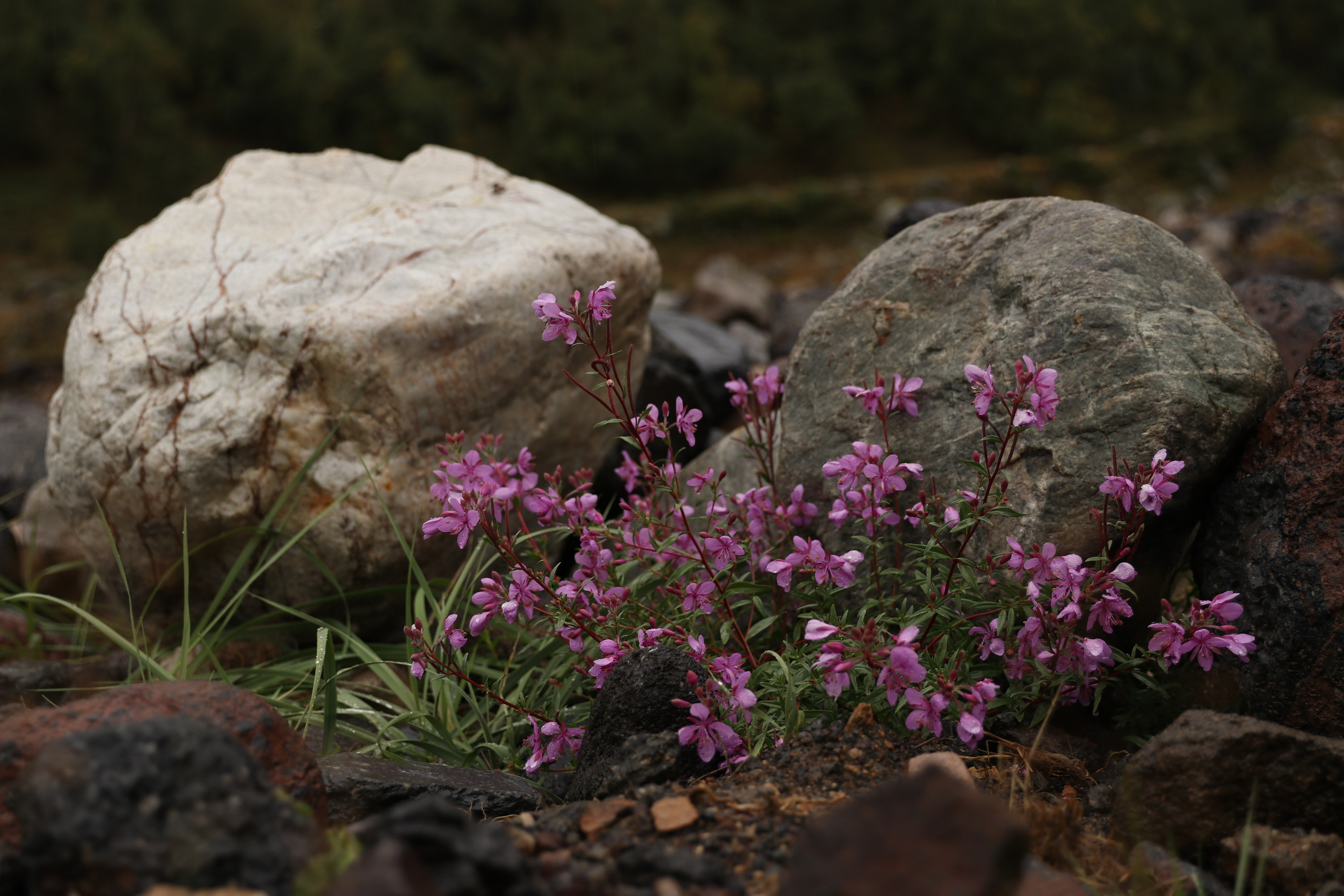 Приэльбрусье. Сентябрь 2023. Путешественник-фотограф из Санкт-Петербурга Татьяна Свистулина