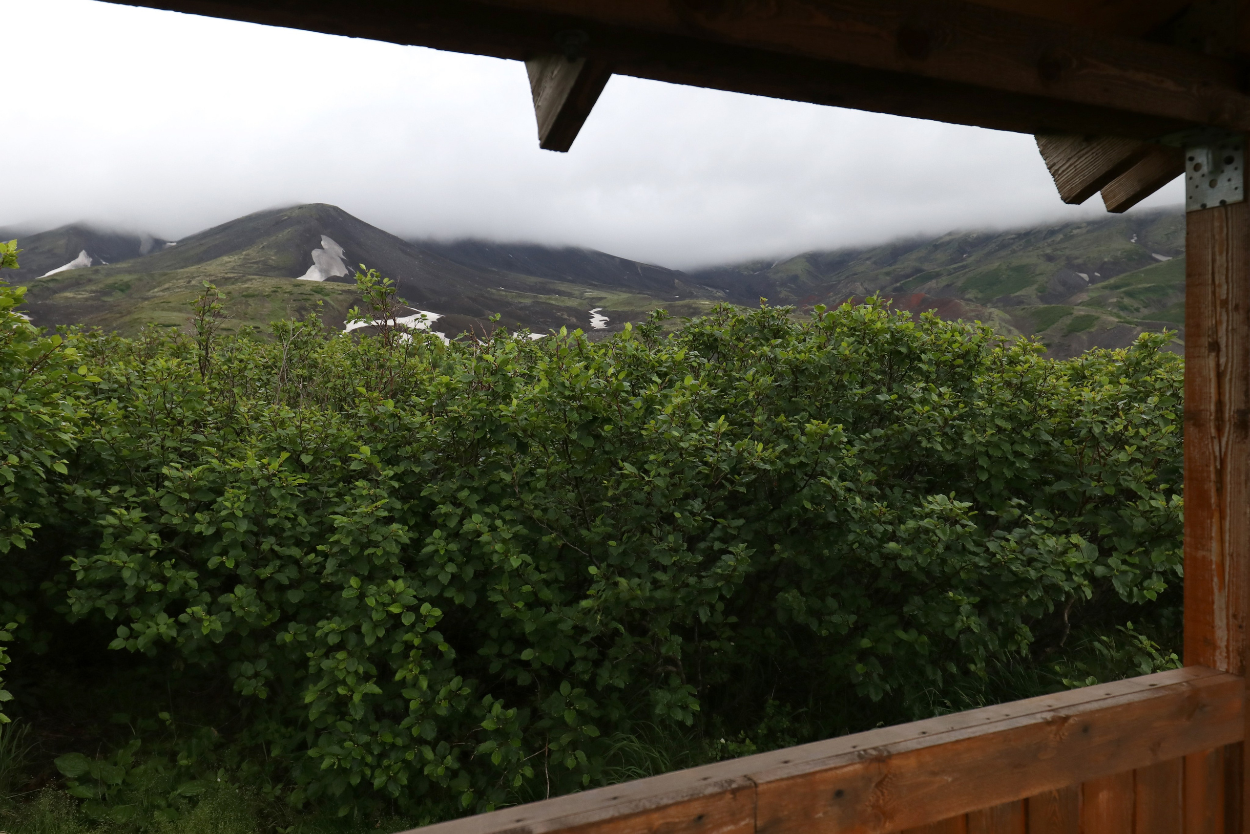 Камчатка и о. Парамушир. Июль 2024. Путешественник-фотограф из Санкт-Петербурга Татьяна Свистулина