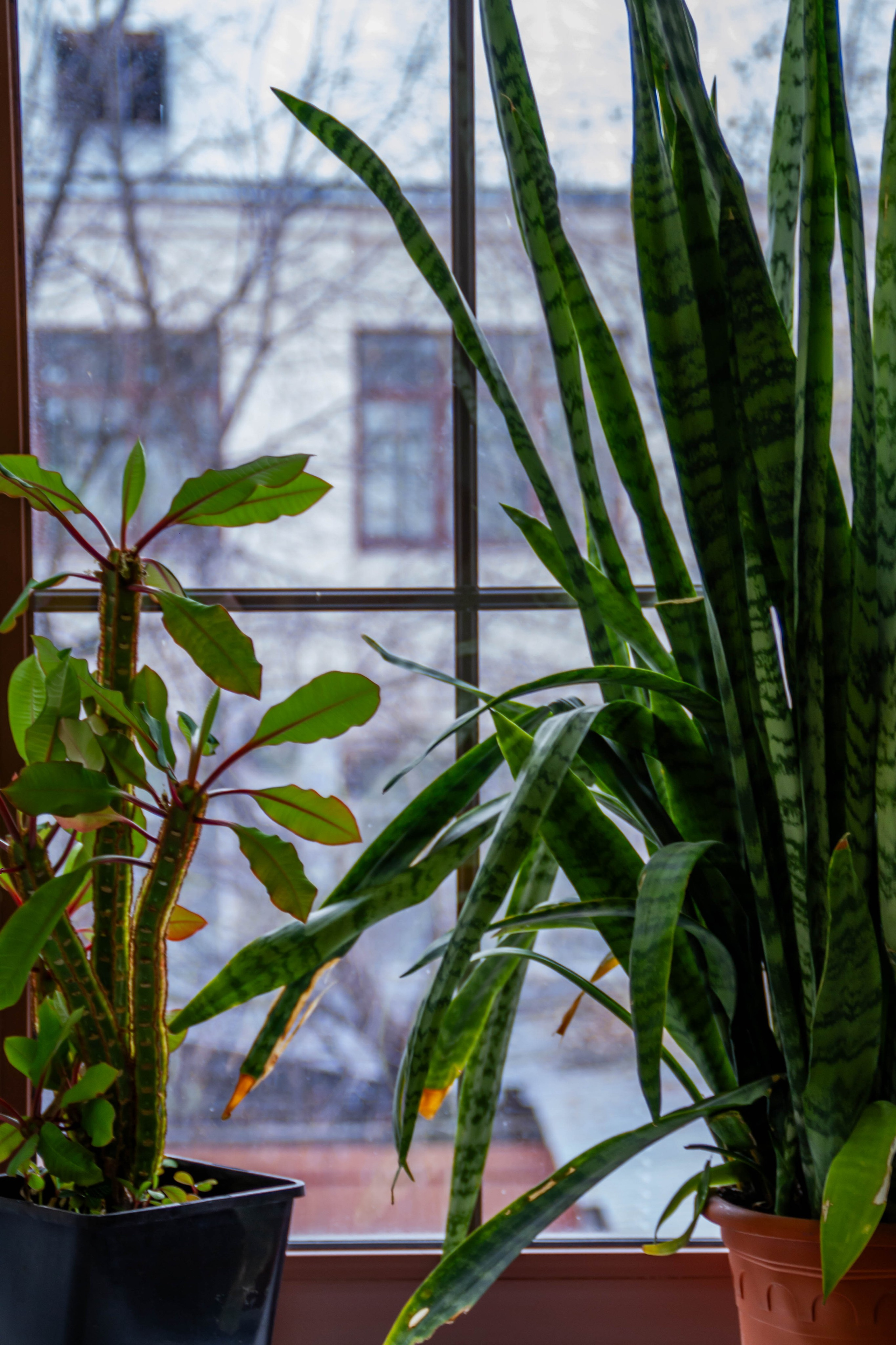 Интерьерная съемка