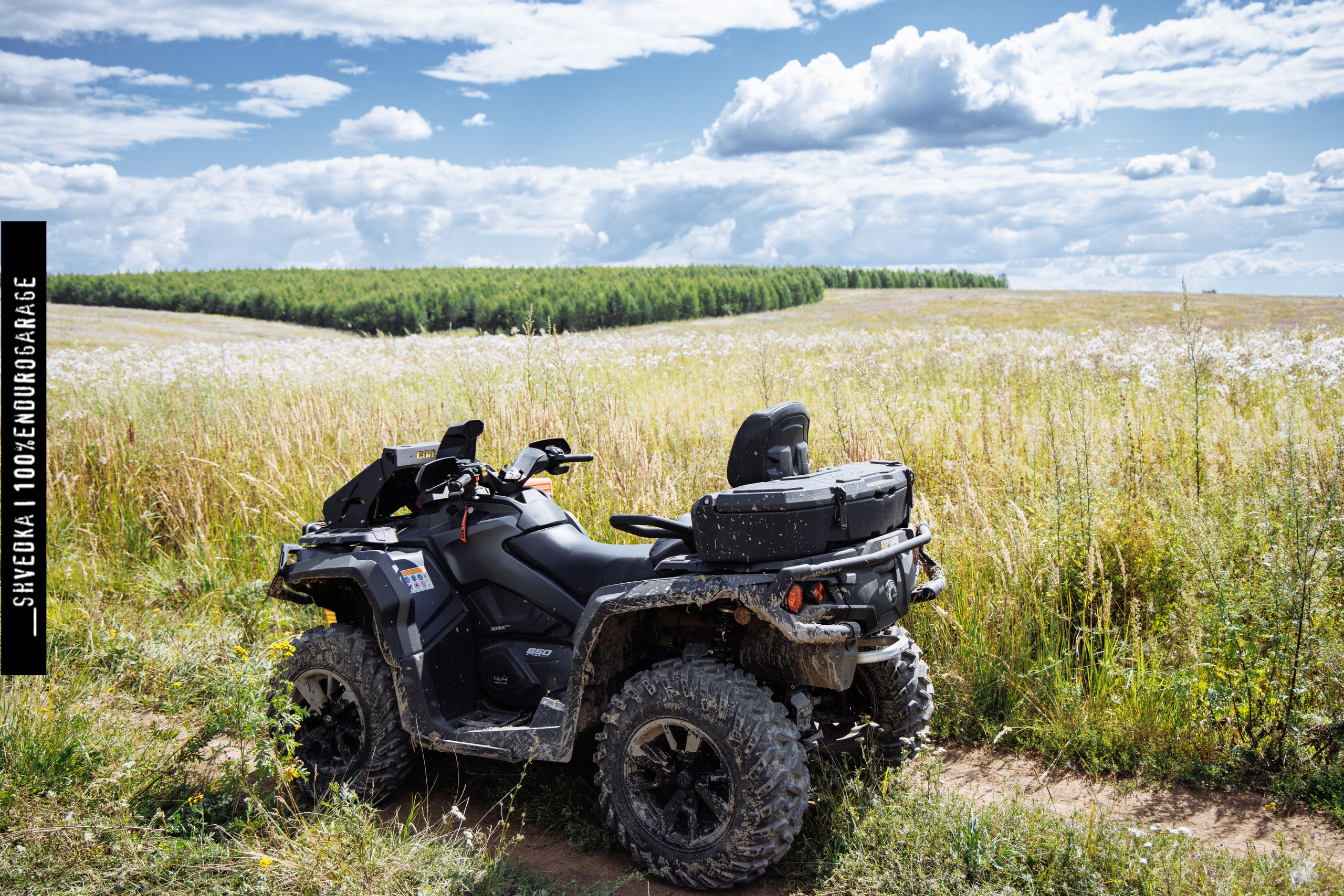 ПЕРВЫЙ ЛЕСНОЙ ДЕНЬ. Ваш экстрим фотограф Кудрева Яна