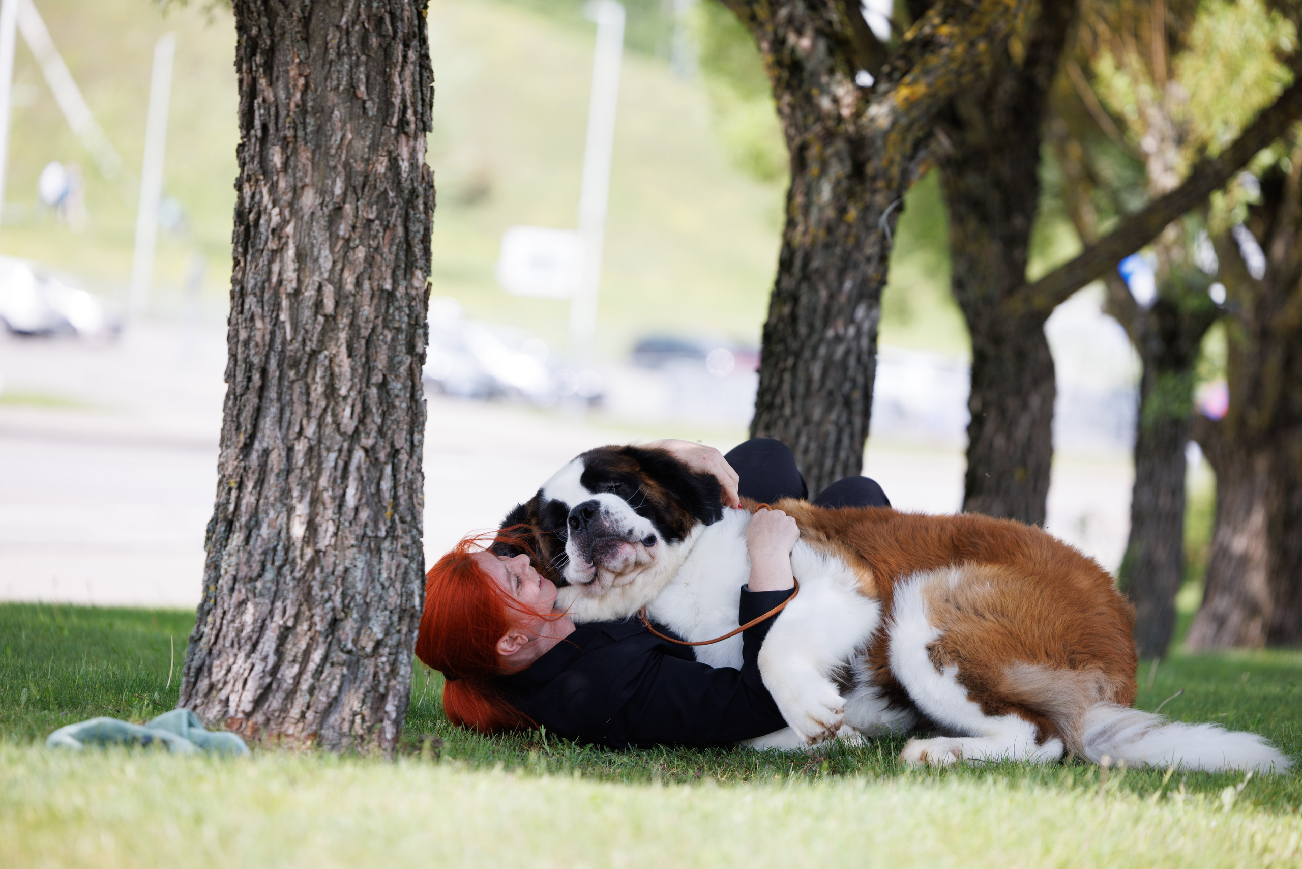 Минск 31.05-1.06.2025. Фотограф-анималист Юлия Германика