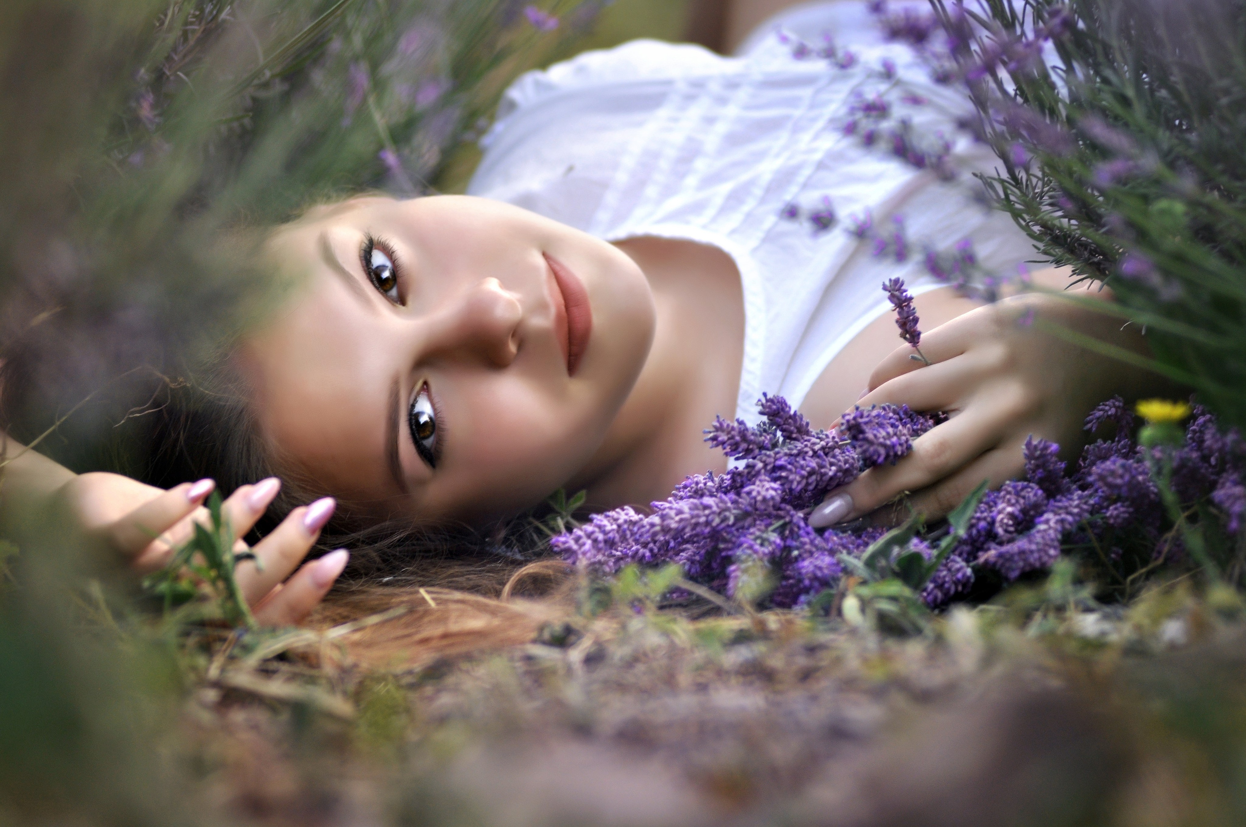 Лаванда. Главная