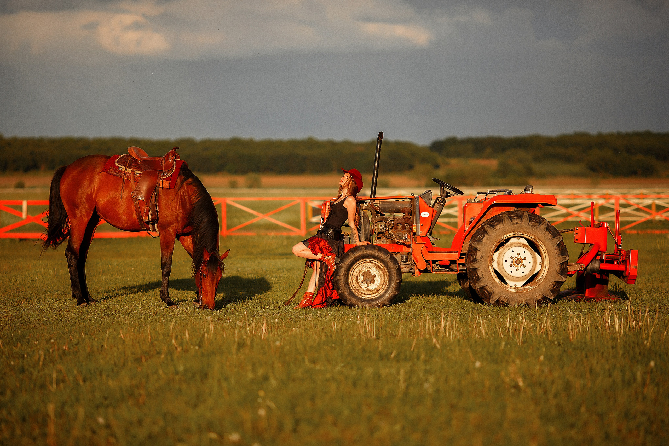 Конный фотограф в Санкт-Петербурге-Мария Балабанова