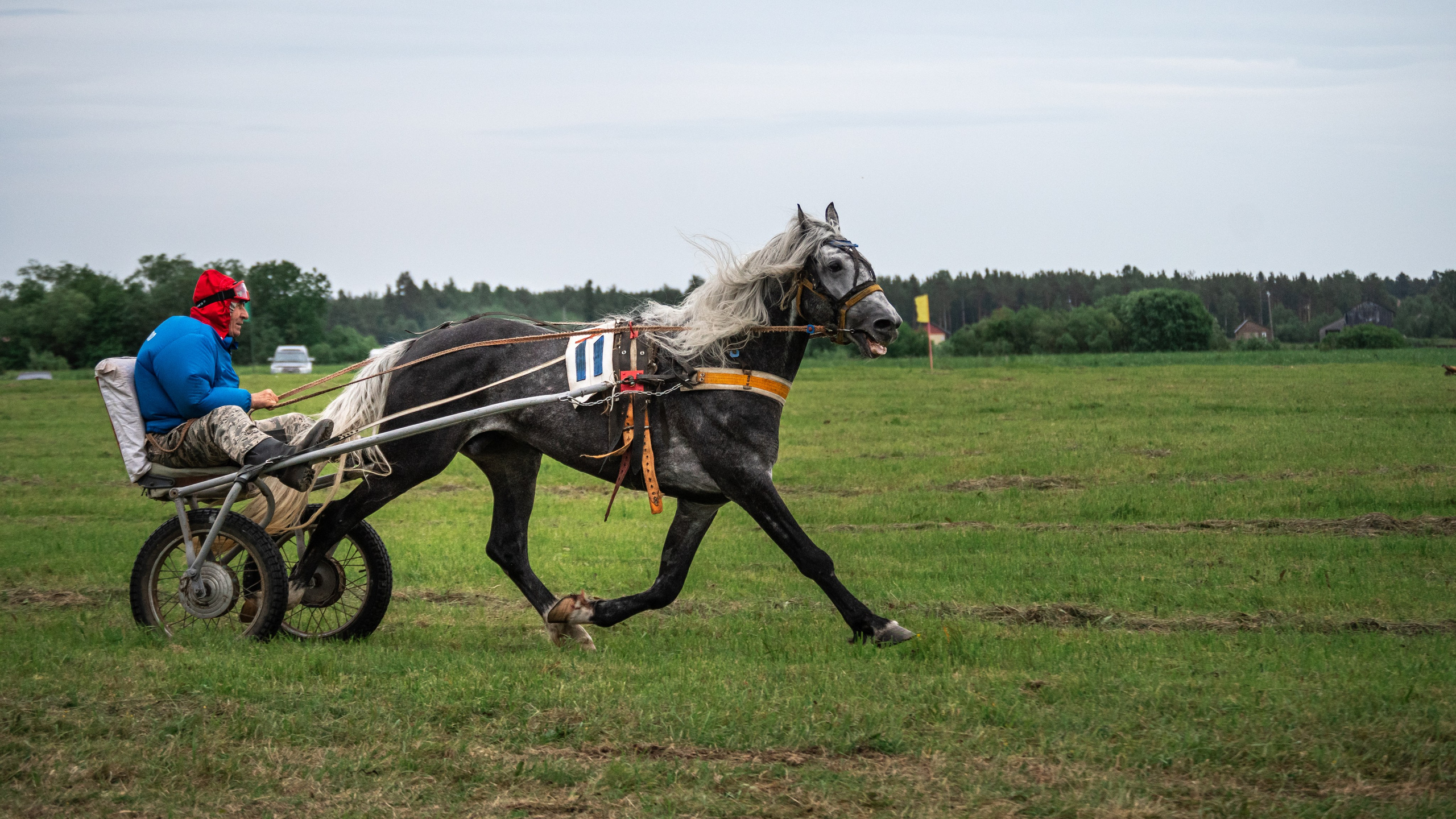 Луд 2023. Фотограф в с. Ижма Республика Коми Терентьев Сергей