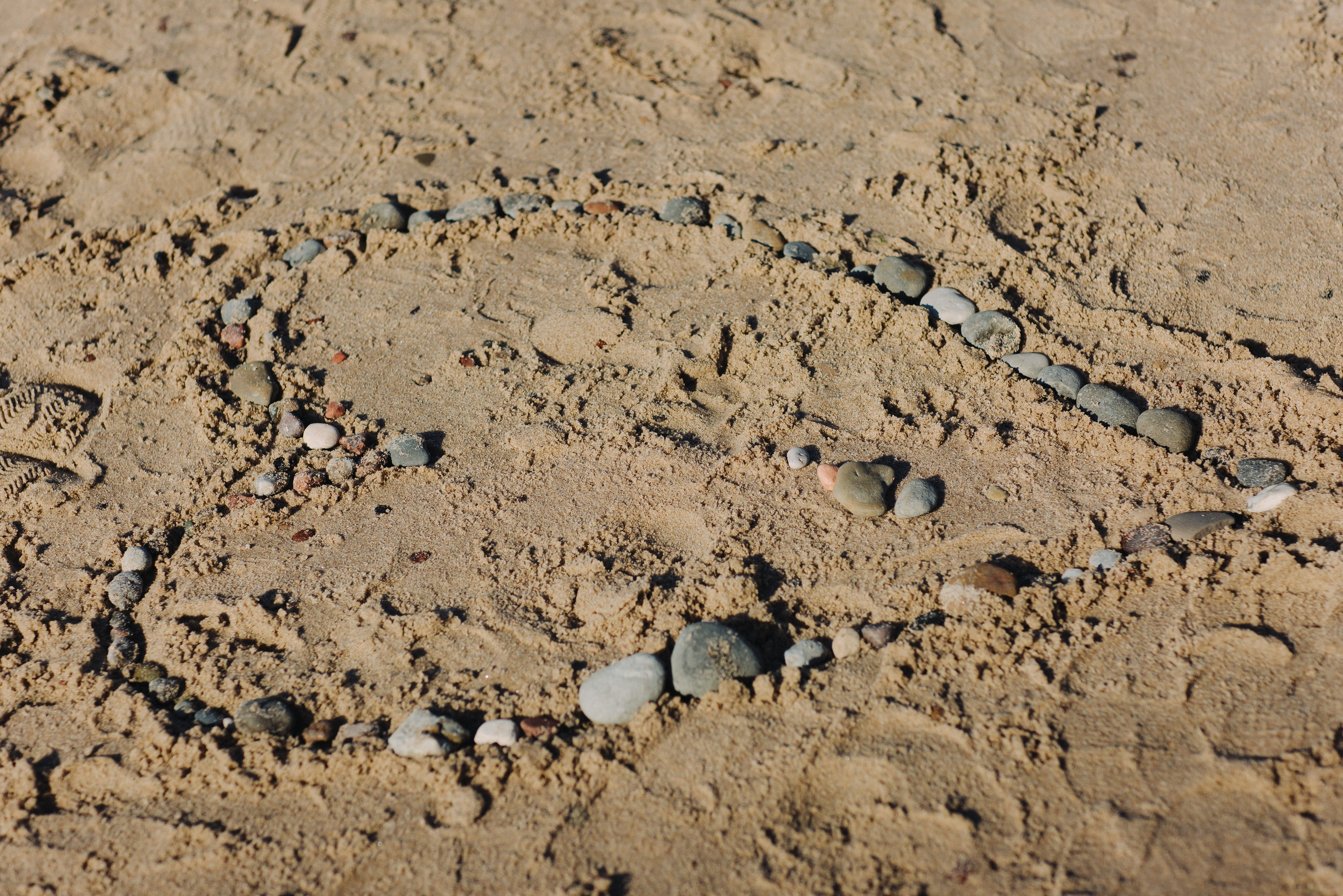 Анастасия и Дмитрий. Фотограф Зеленоградск Красильникова Елена