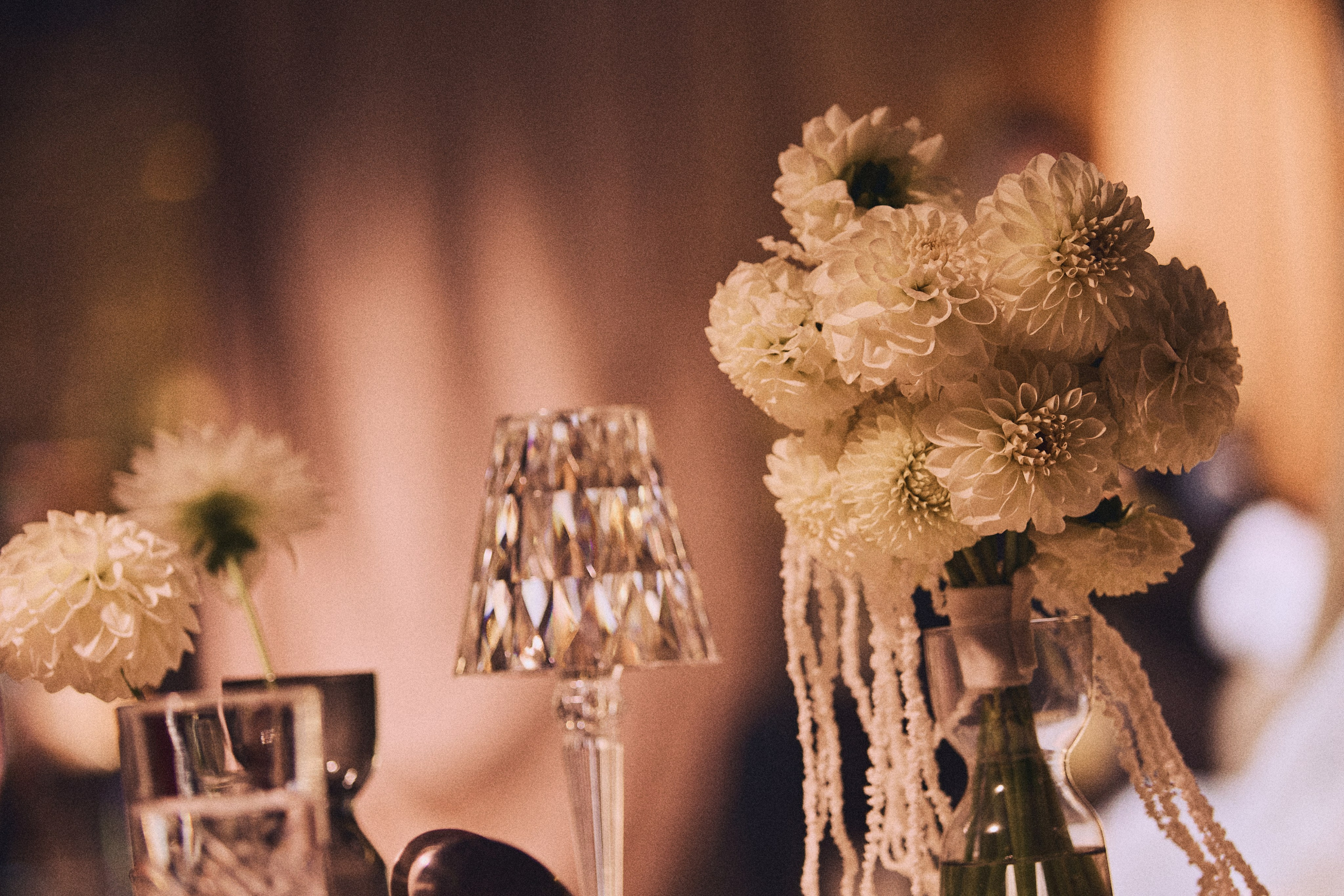 VIBE&VELVET. Дмитрий Мазуркевич: Профессиональный Репортажный Фотограф