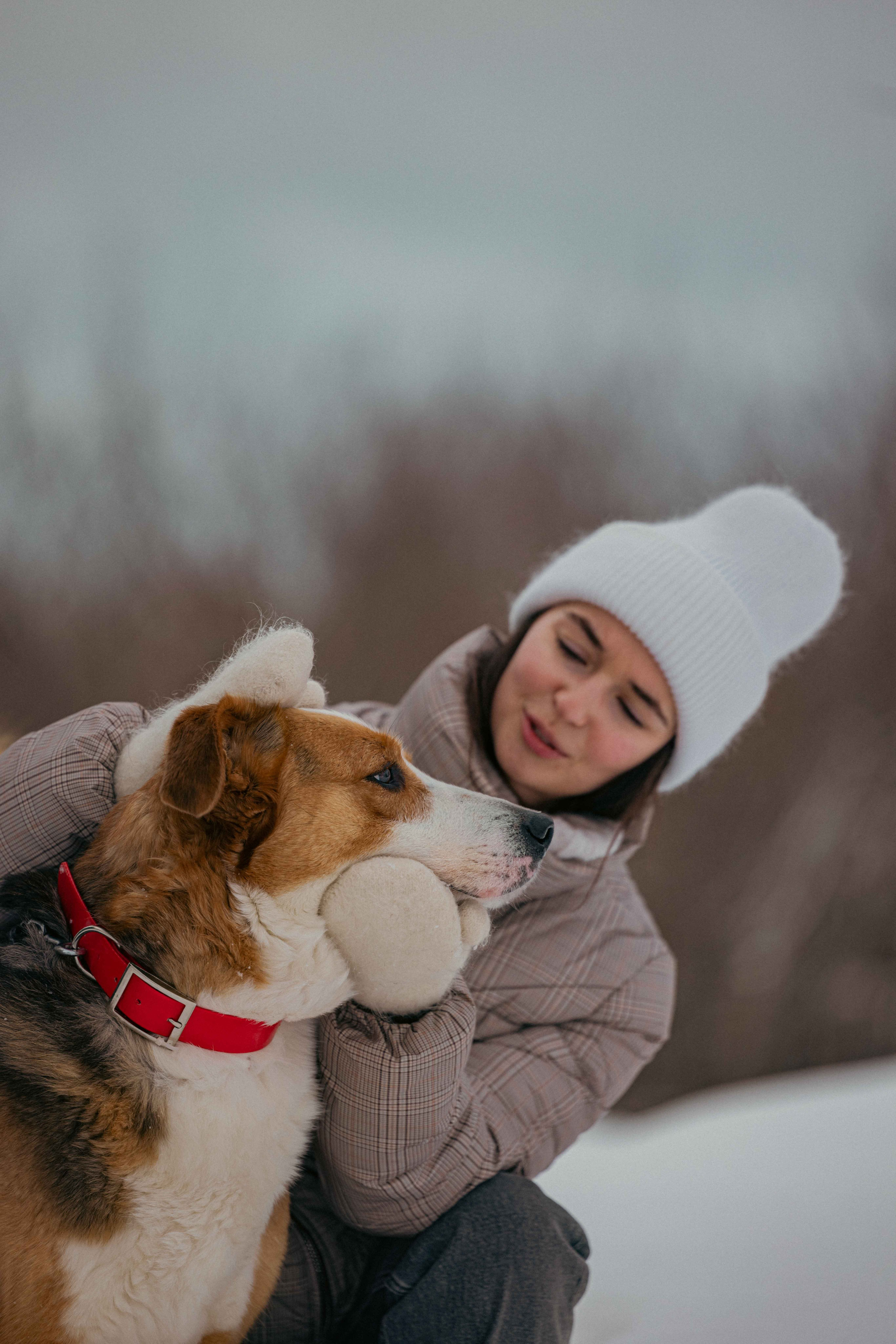 Петя. Фотограф-анималист в Москве Лера Черноног