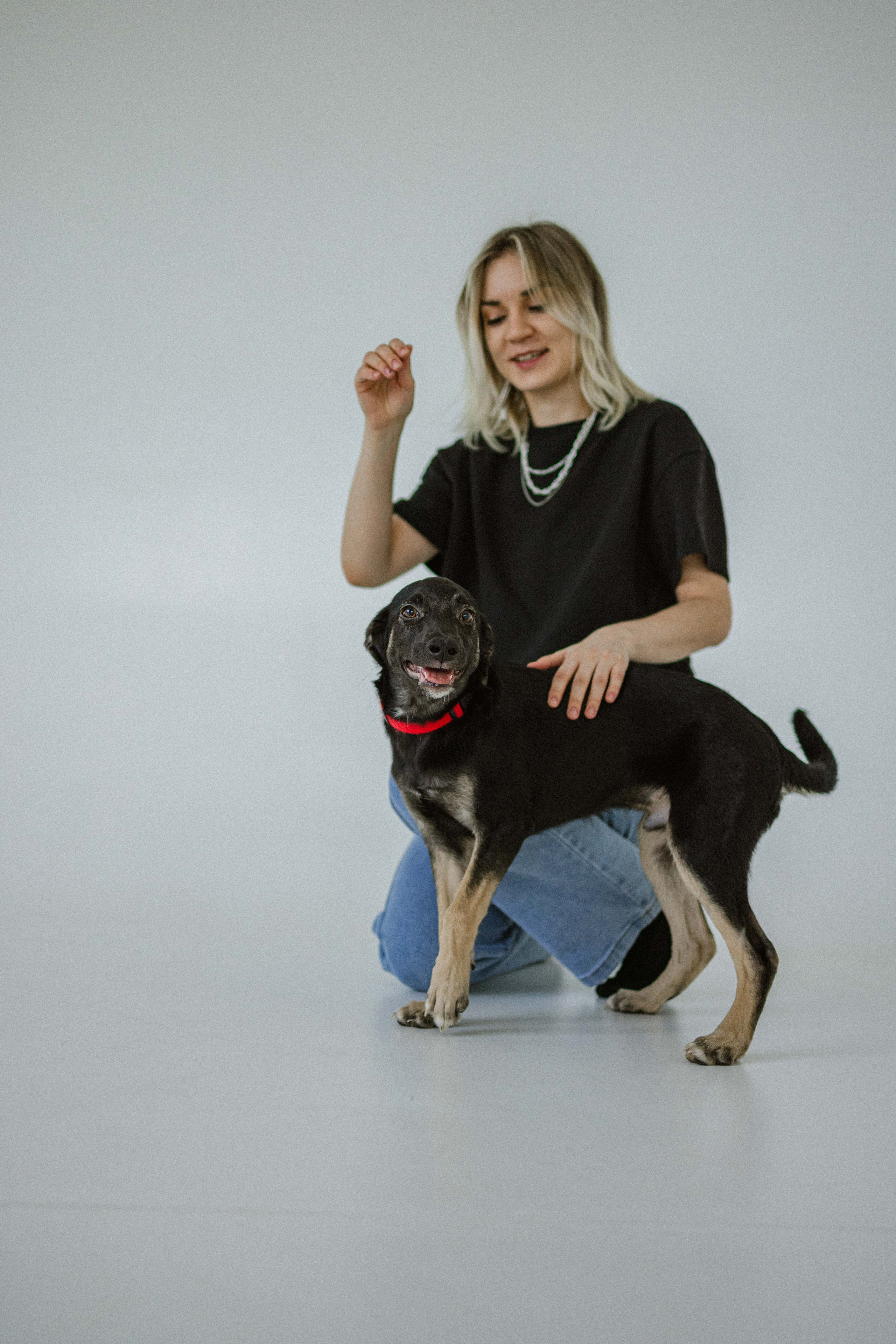 Крис и Тэдди. Фотограф-анималист в Москве Лера Черноног