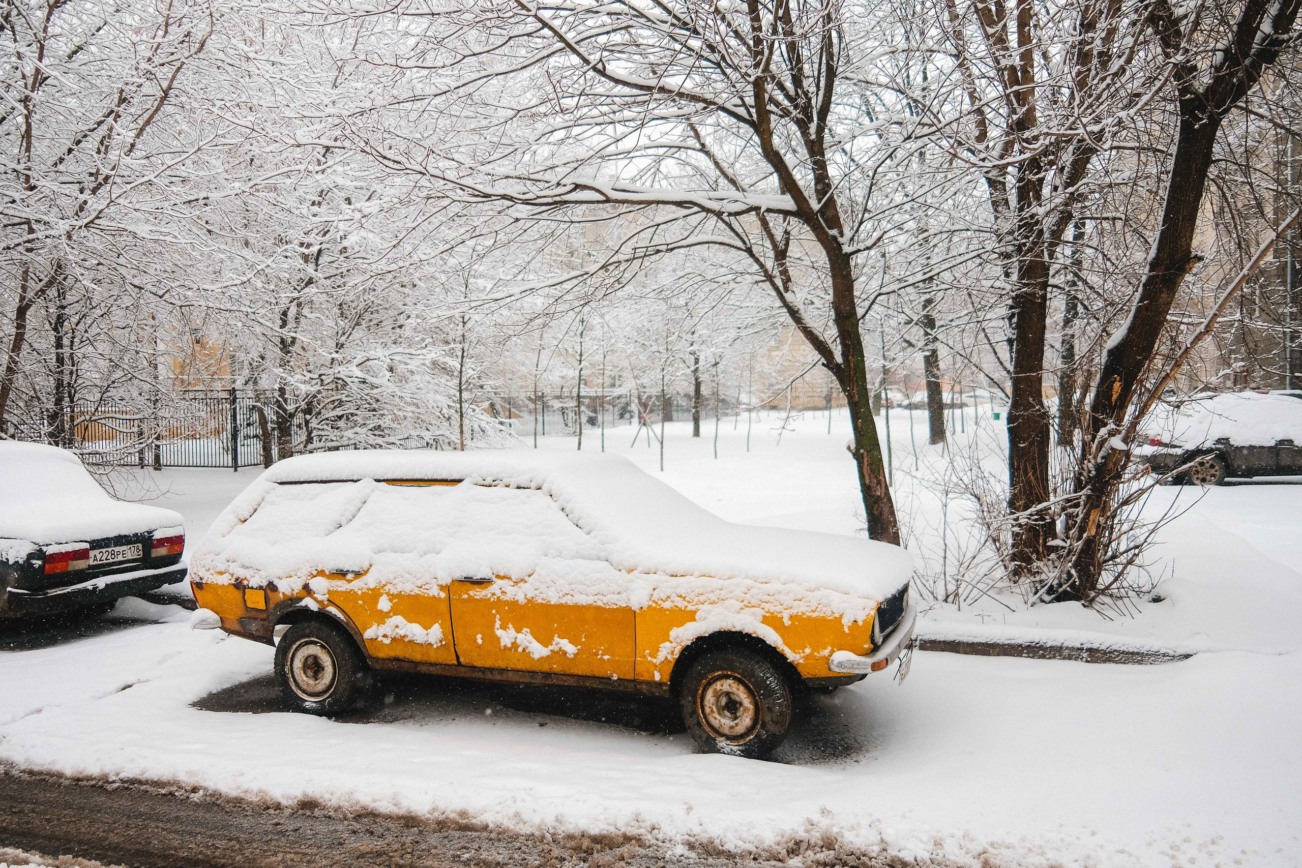 2023.03. Фотограф Алексей Алексеев