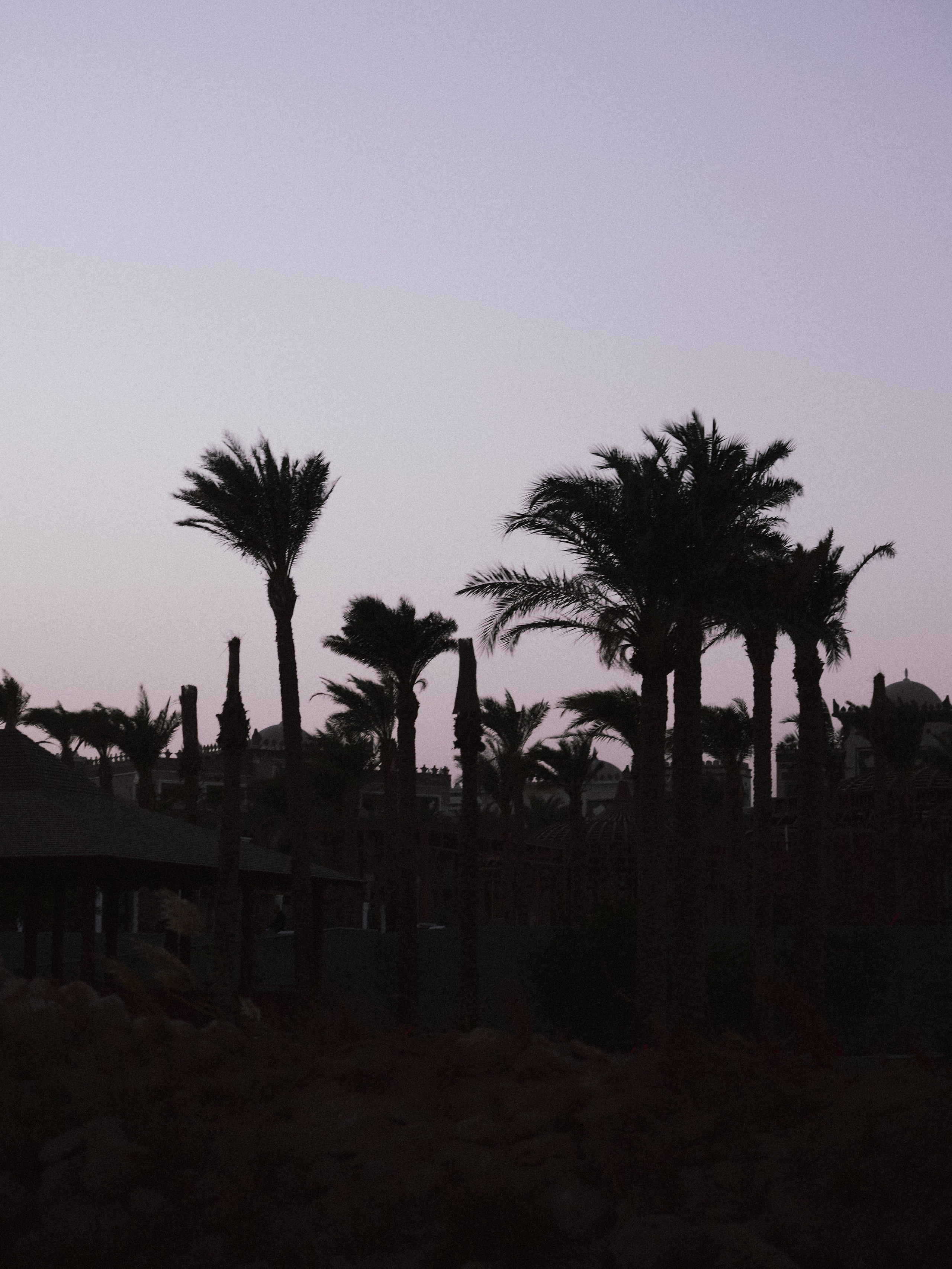 Другое 2. Jorgis Talè — photographer, kind person, teacher of arts and other mag