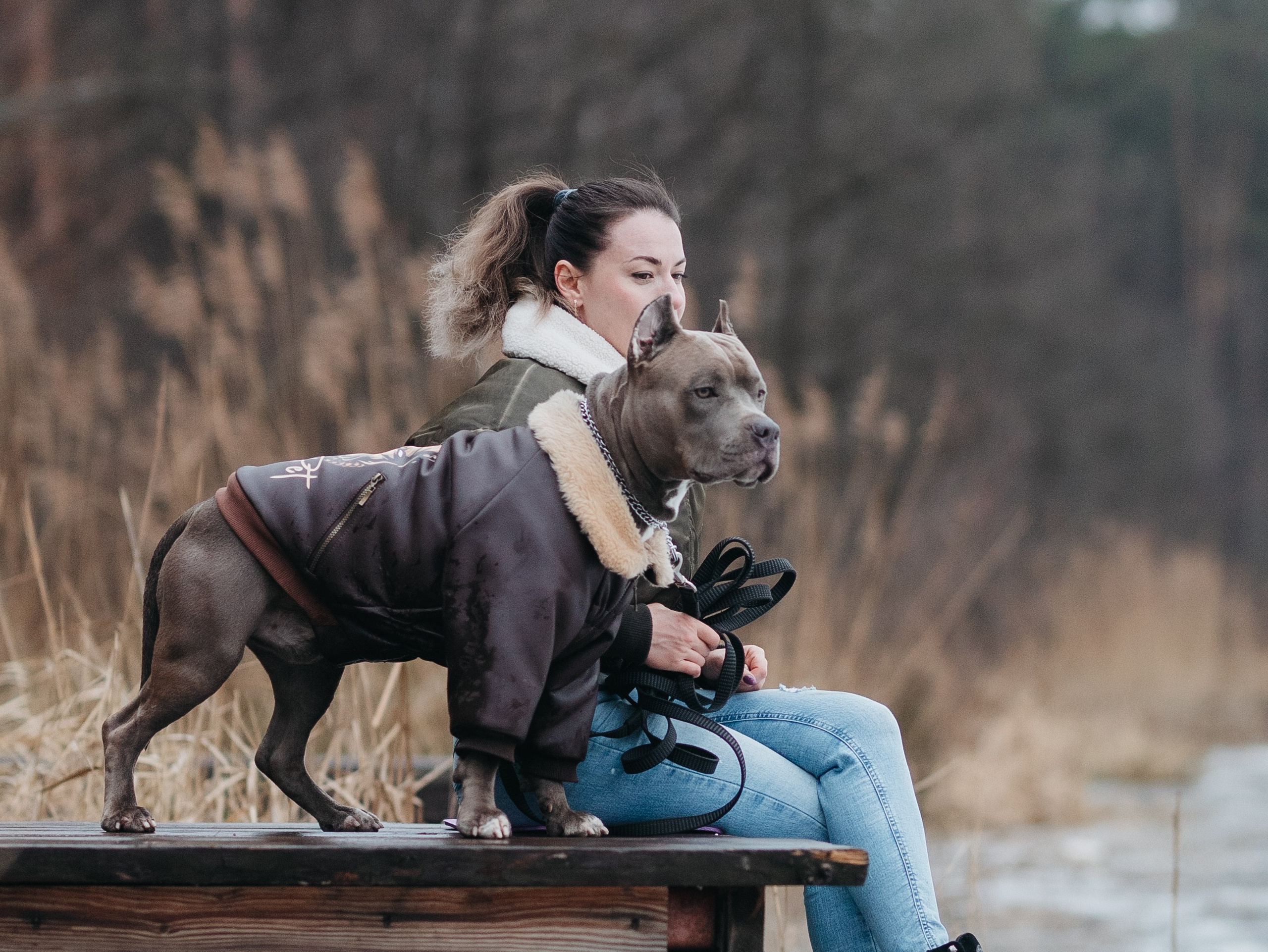 Зевс и Мария. Фотограф-анималист в Москве Кириллова Татьяна