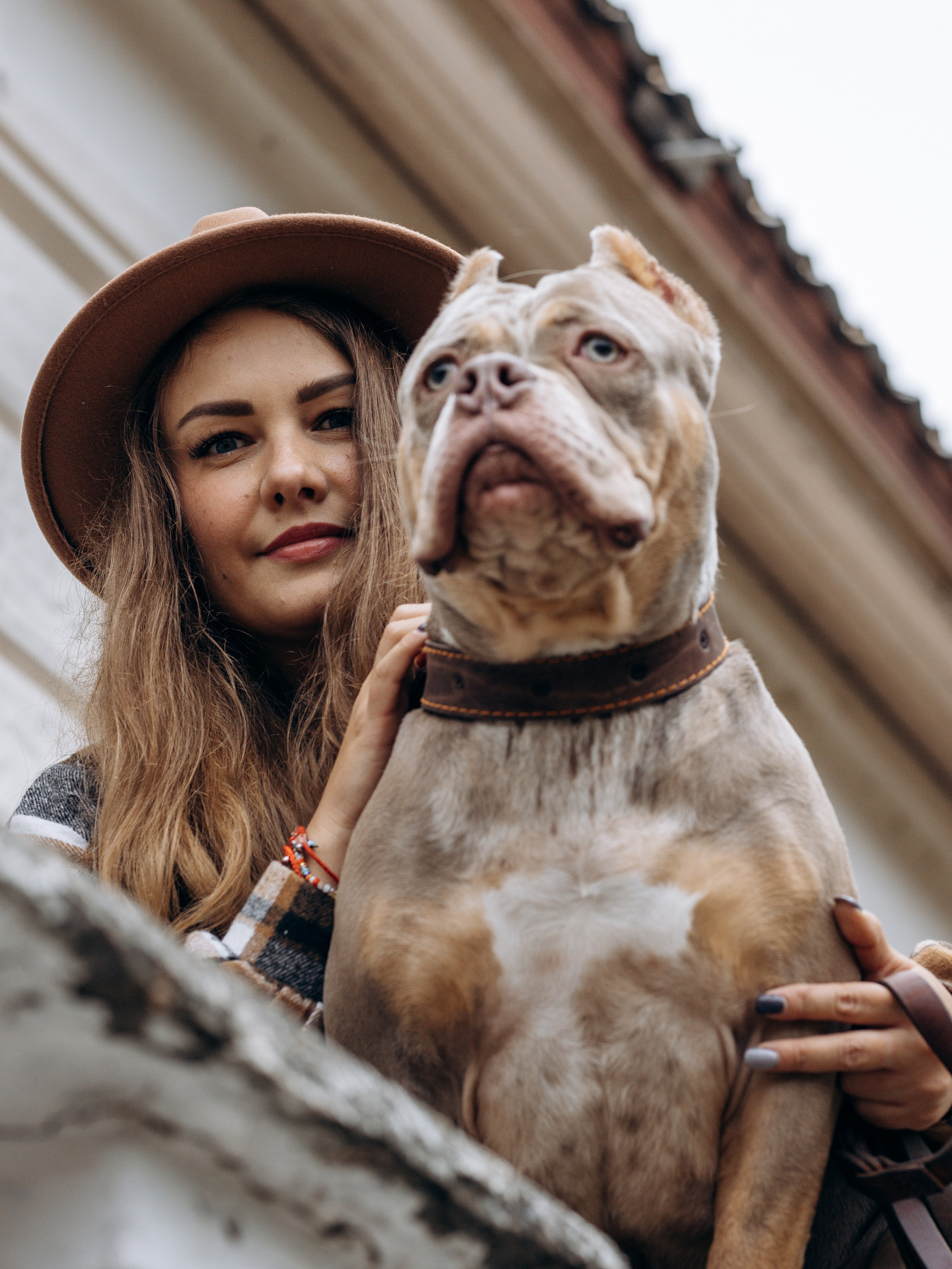 Скай, Марти и Катя. Фотограф-анималист в Москве Кириллова Татьяна