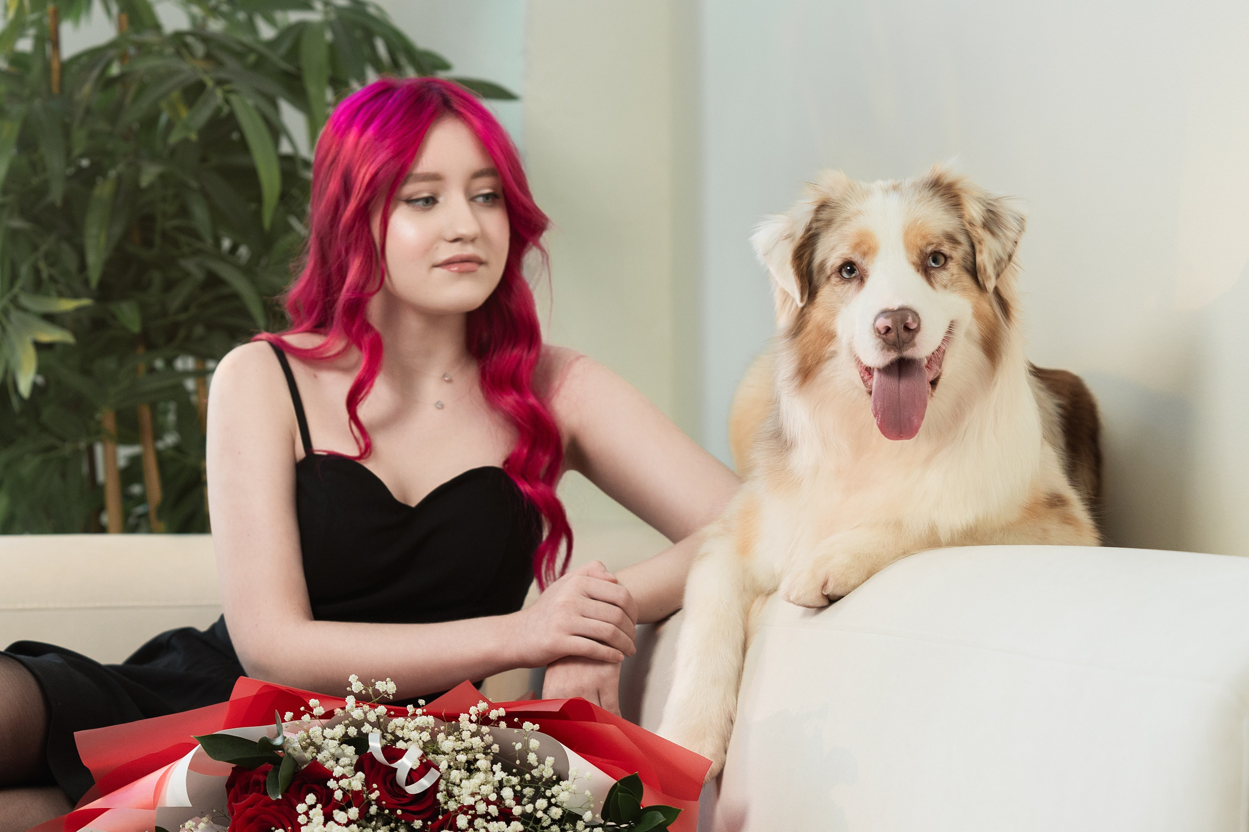 Фотодень с Австралийской овчаркой. Творческий фотограф Вологда