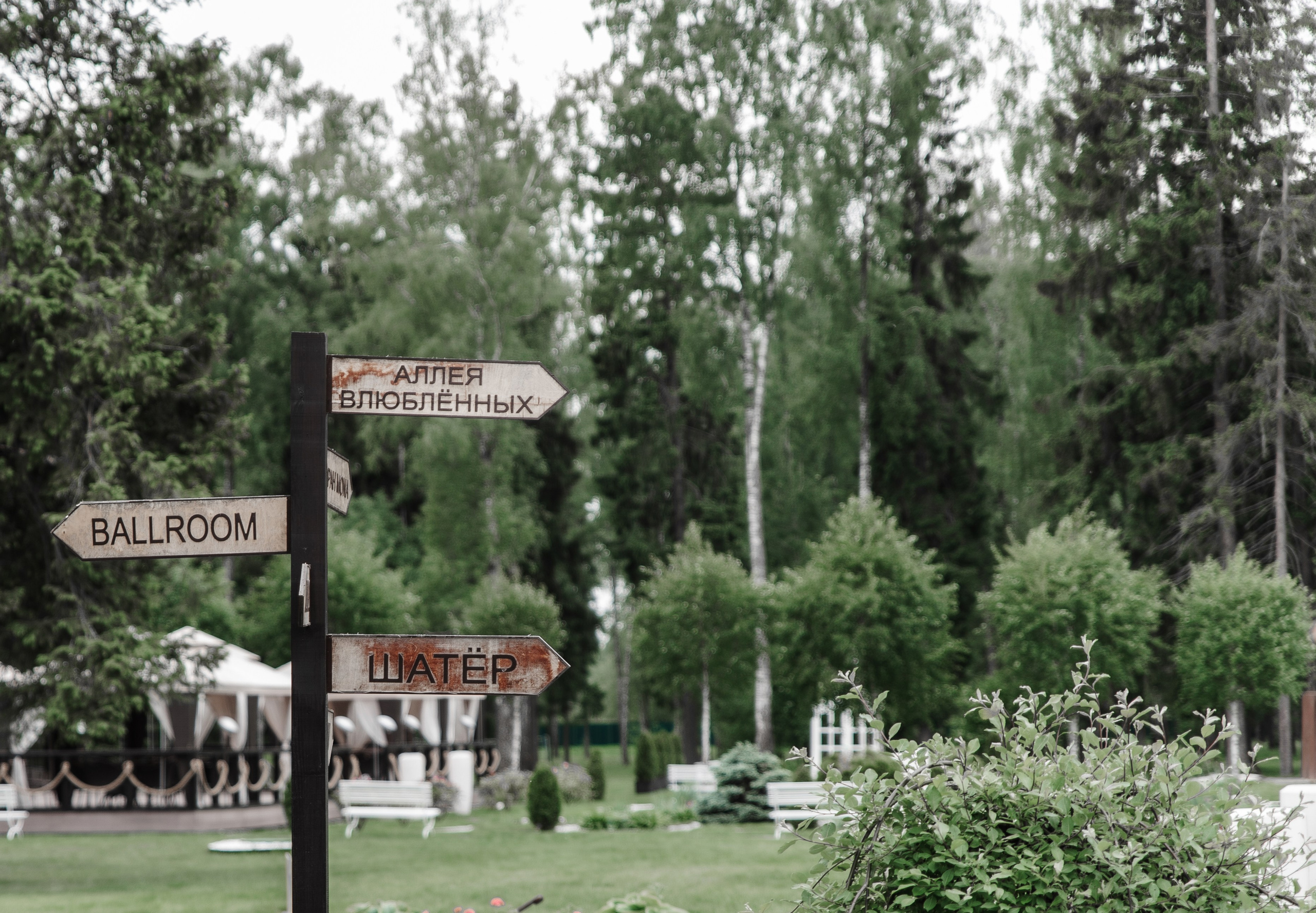 Иван и Ксения. Свадебный фотограф в Москве    Еремин Анатолий