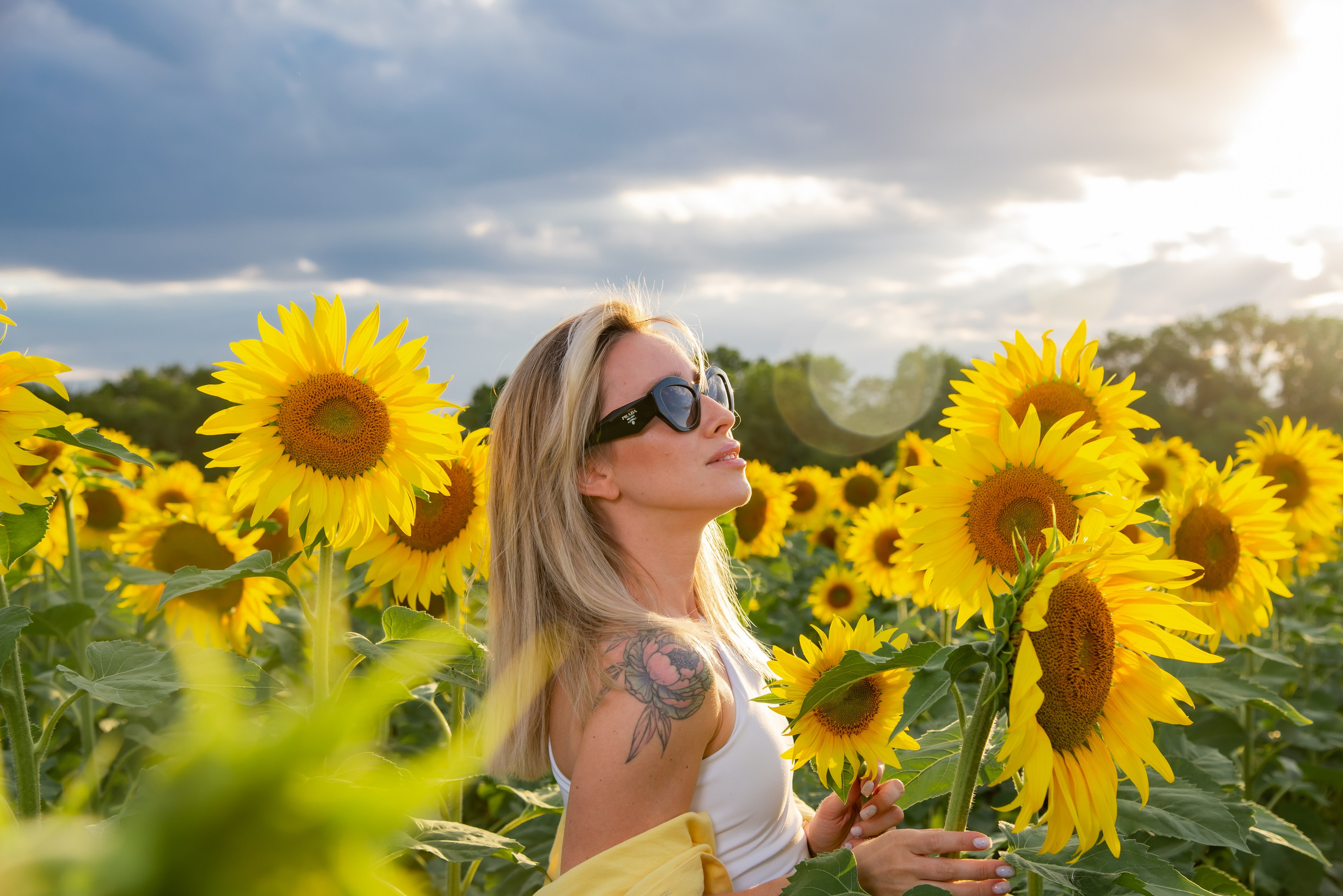 Подсолнух. Фотограф Галина Нестерова