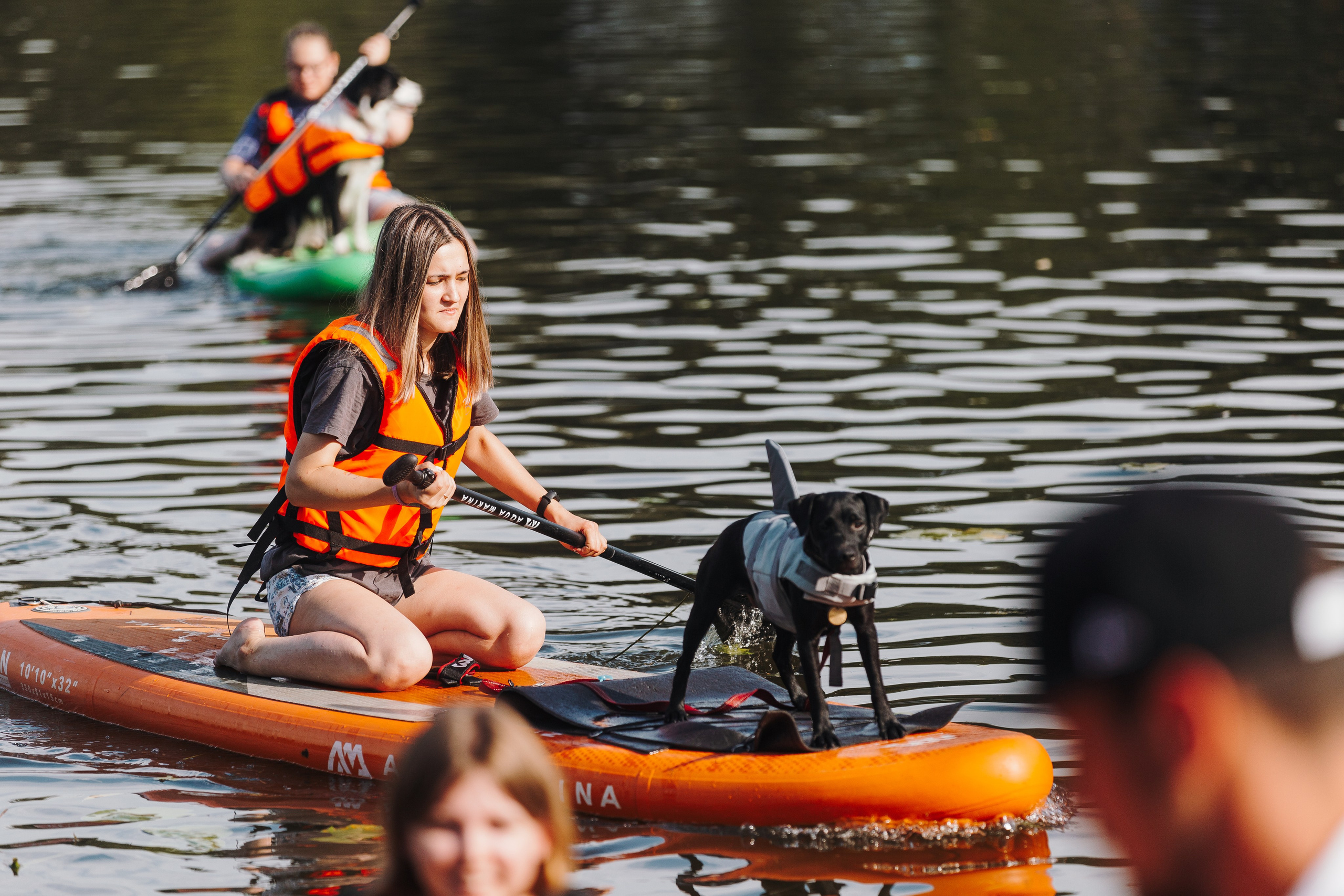 Petshop Sup day. Фотограф анималист Кристина Карпова, Москва