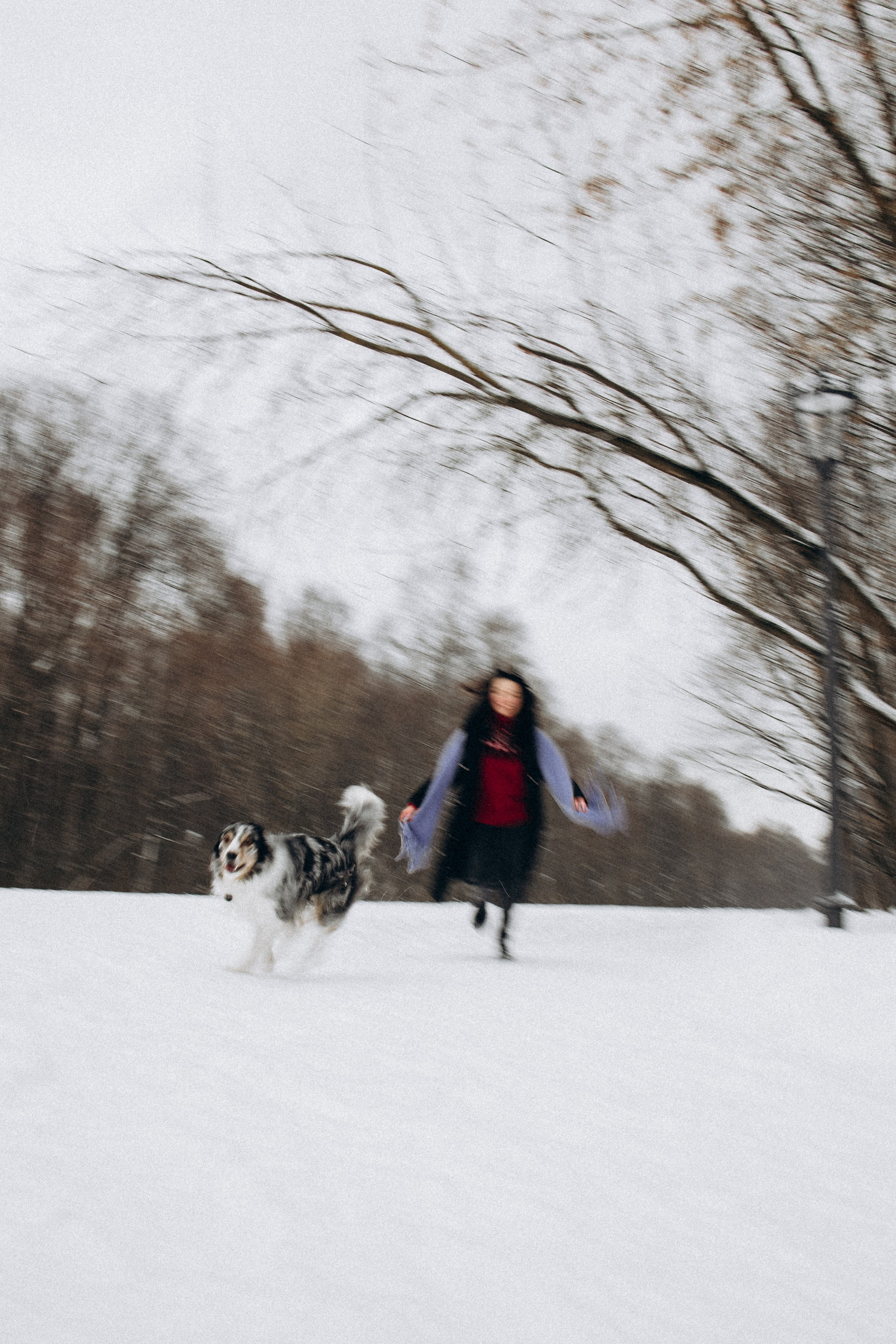 Настя и Тор. Фотораф — анималист Мария Шистка