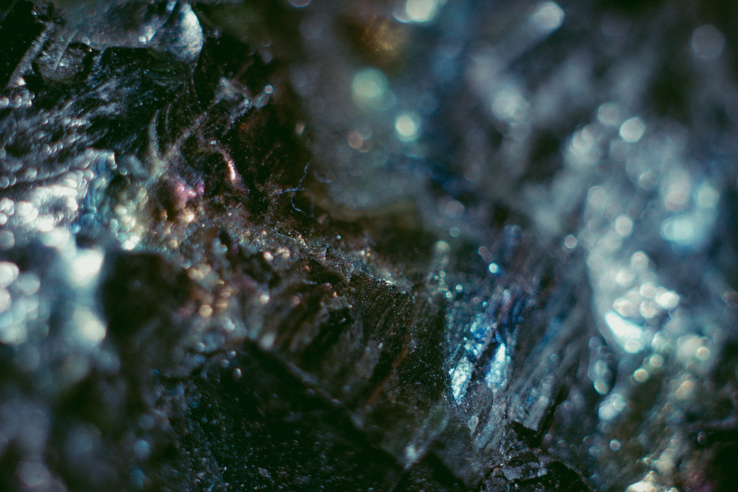 MACRO. Фотограф. Пейзажи, макро, портреты. Город Енакиево, без границ в съёмке