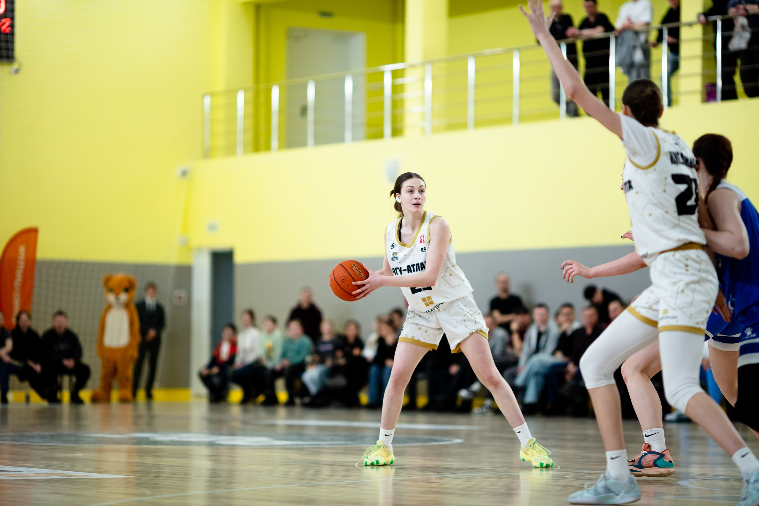 ЧГУ-Атланта — Динамо / 1 игра. Фотография