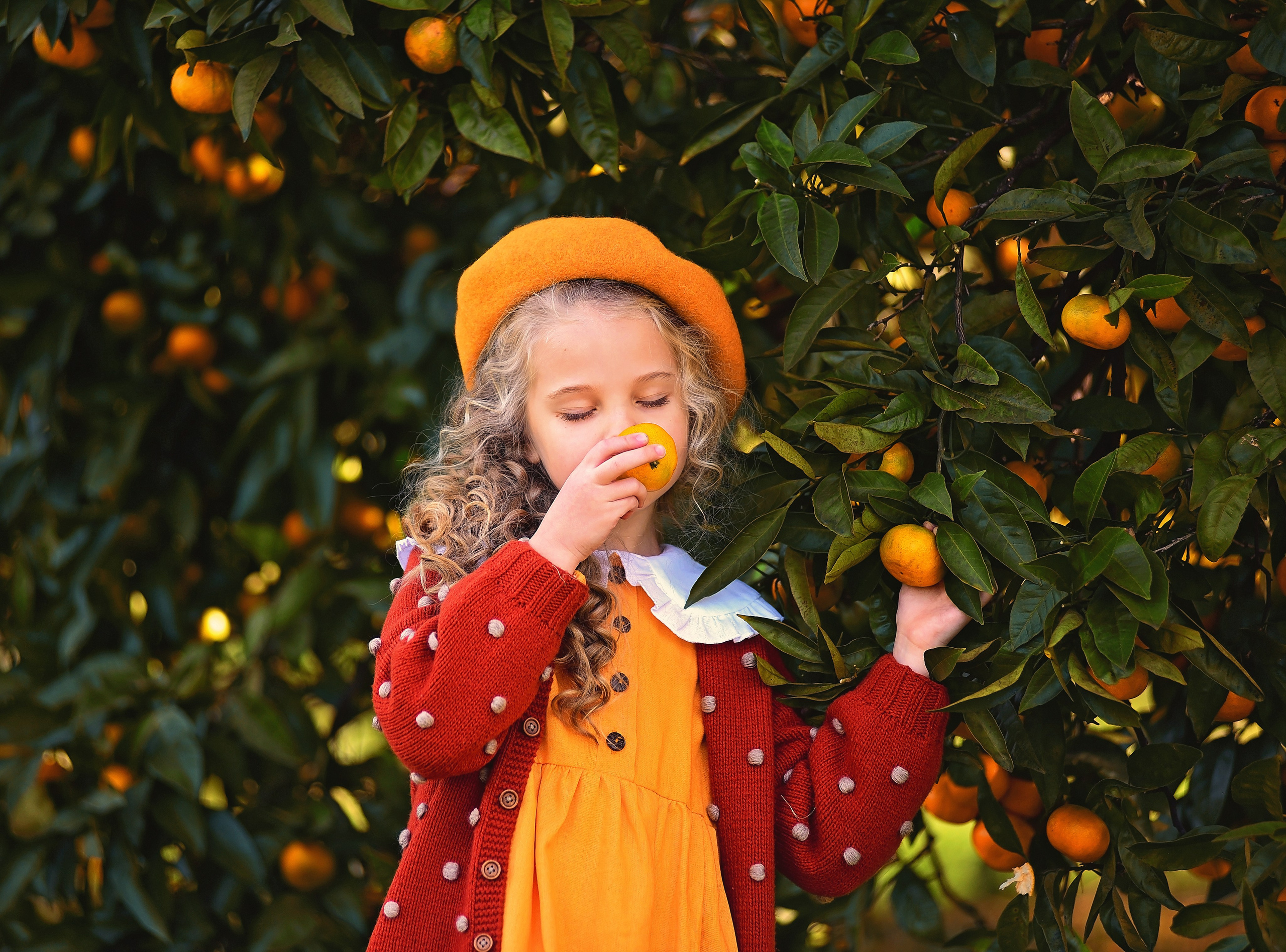 Мандарины. Главная