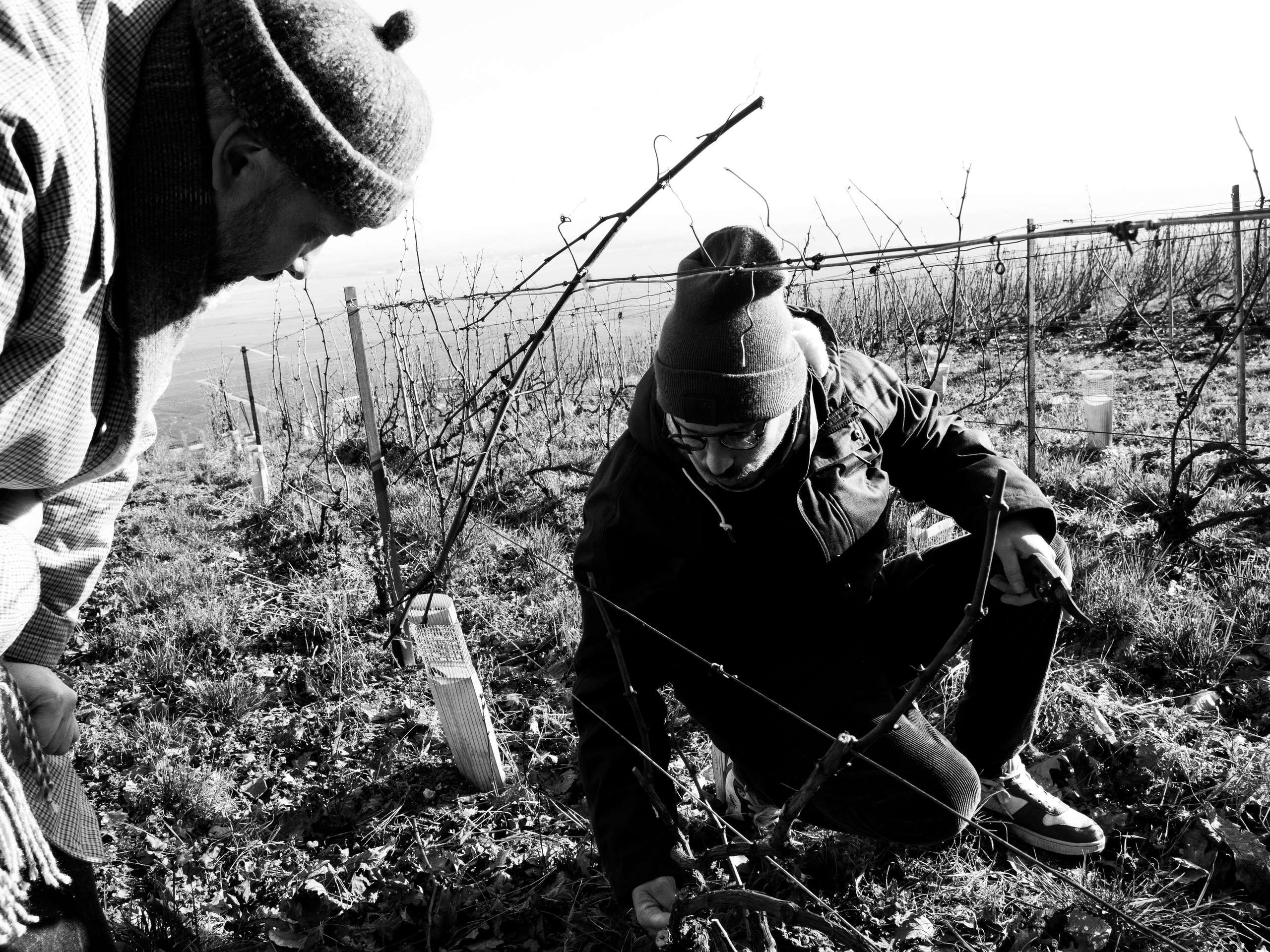Champagne 2025. Фотограф в Крыму Алевтина Швец