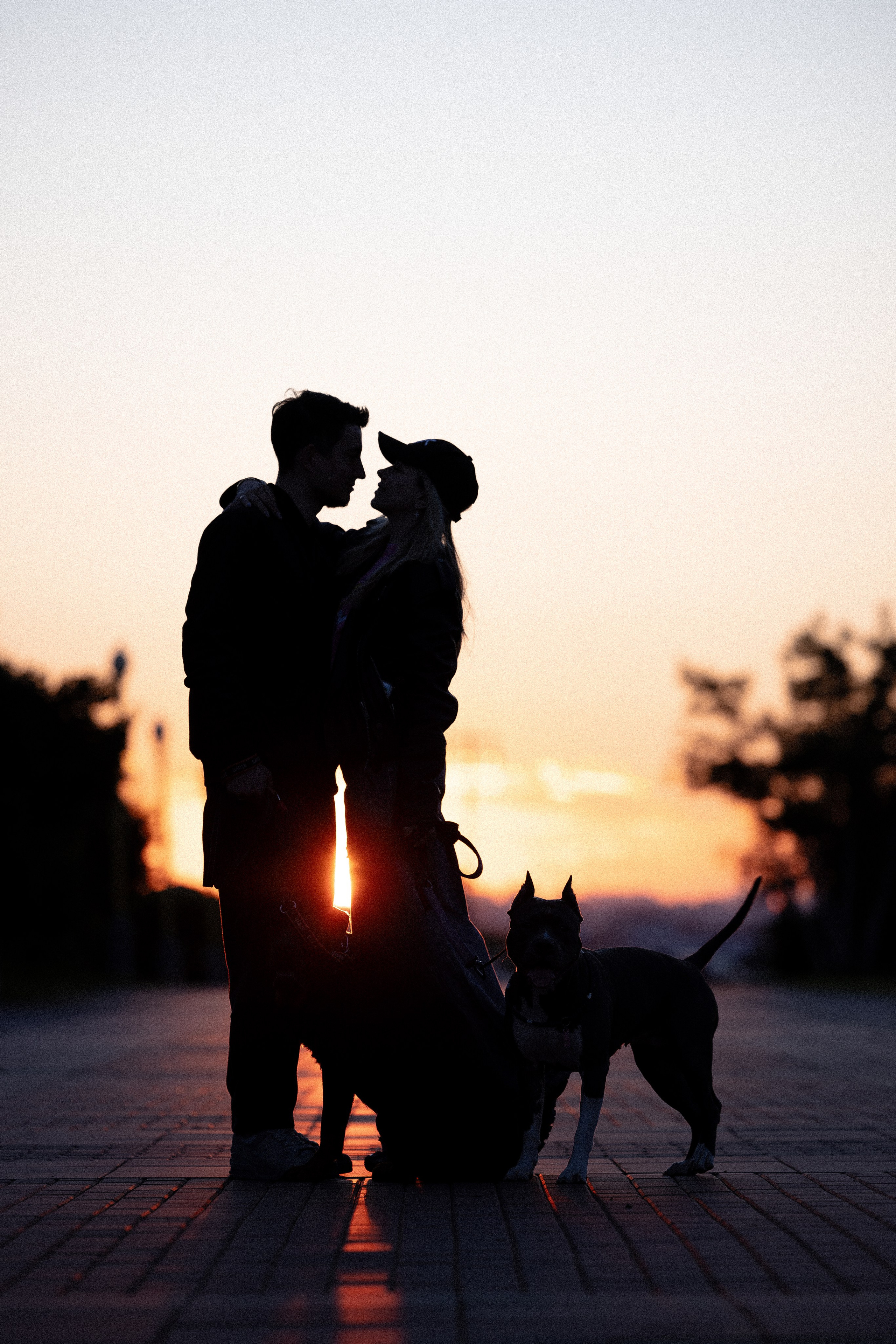 Катя, Леша, Лея и Трой. Фотограф и видеограф анималист Аганина Дарья