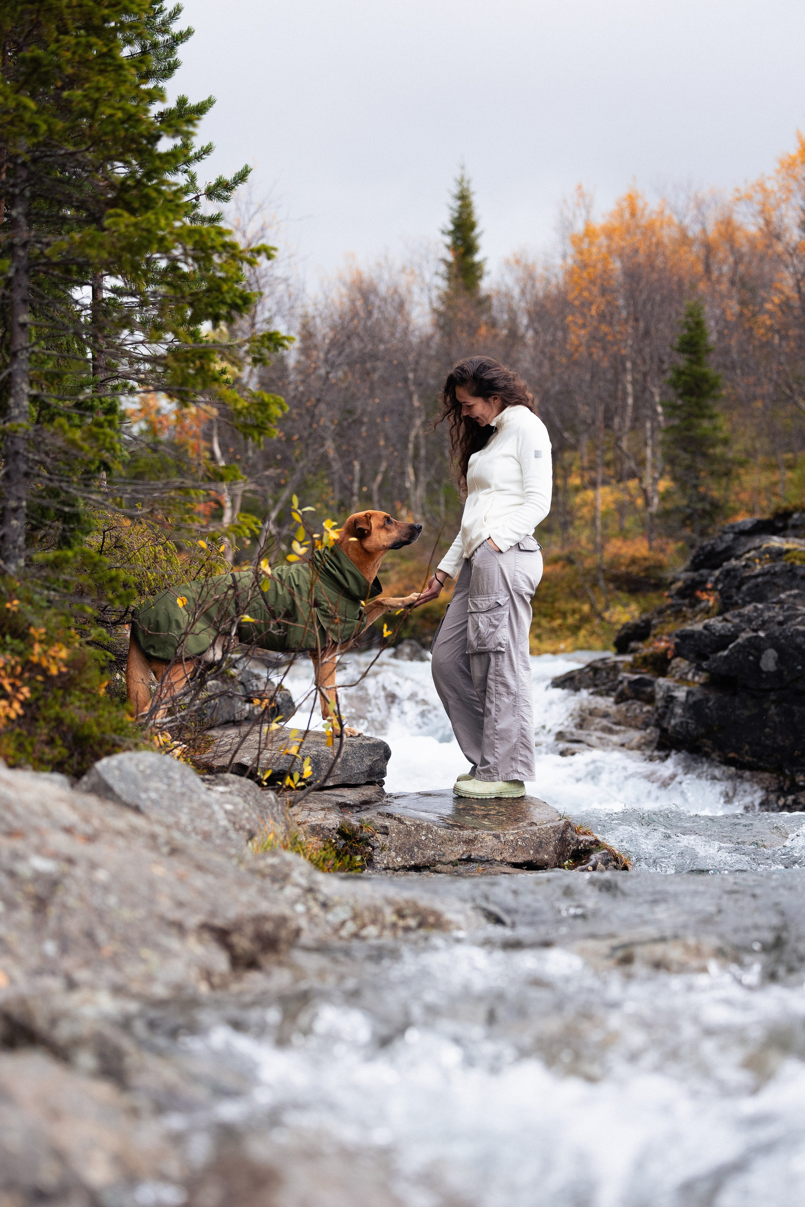 Кольский. Фотограф и видеограф анималист Аганина Дарья
