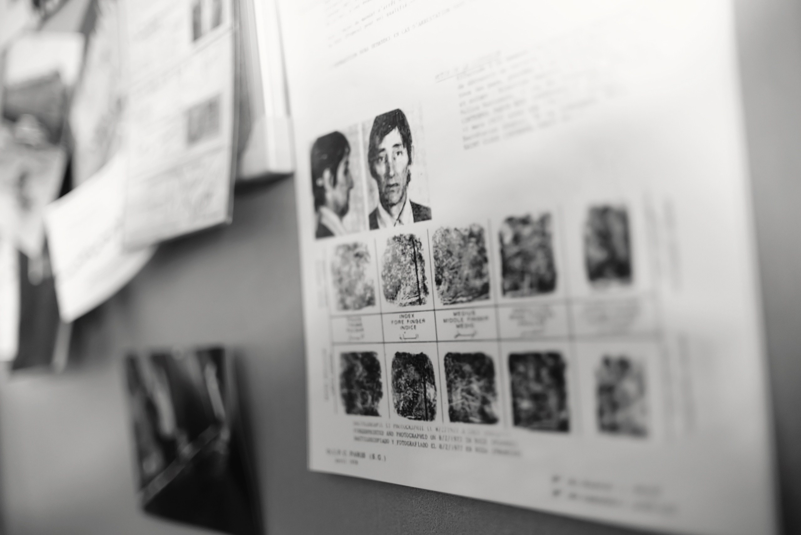 Фото: Артем и Анна Приходько 