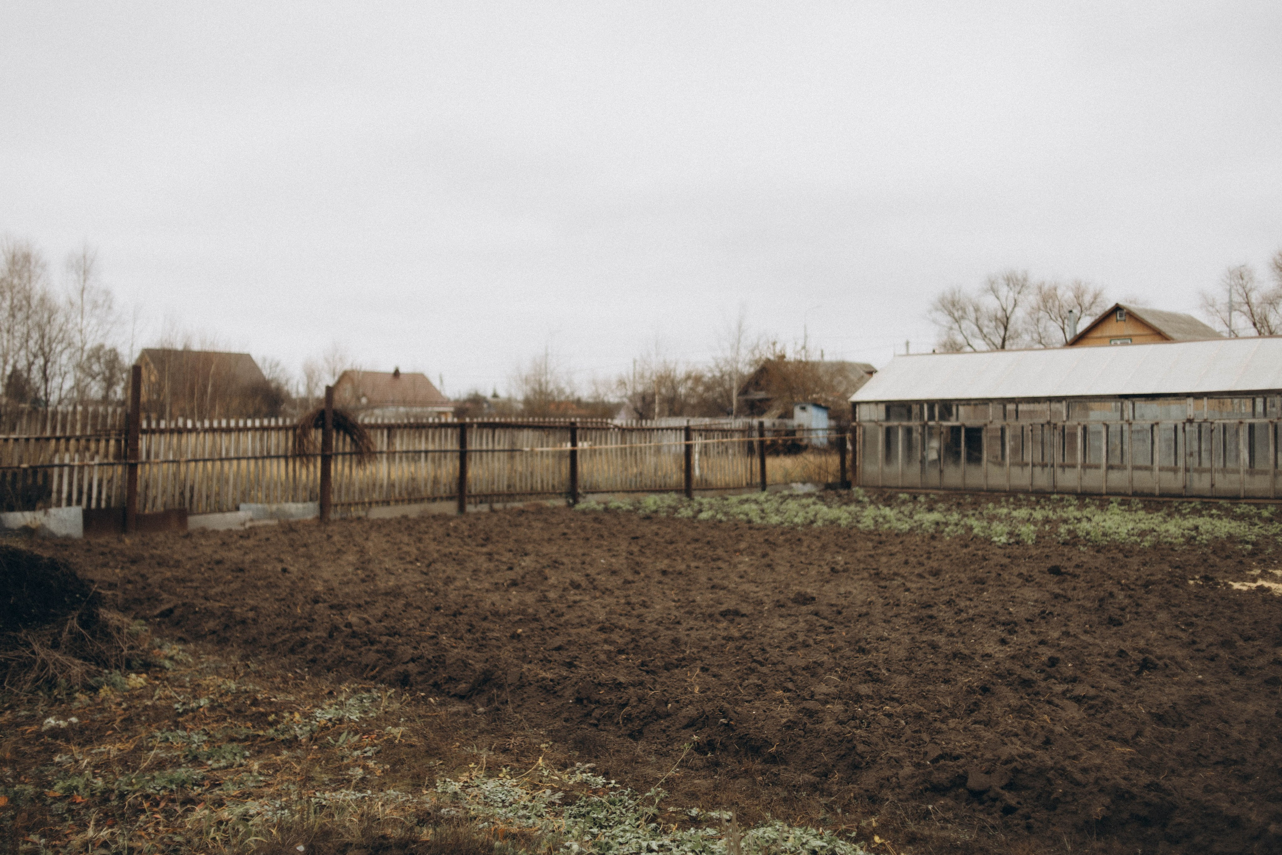 Мама рядом. Семейный и детский фотограф в Павловском Посаде Сарапкина Наталья