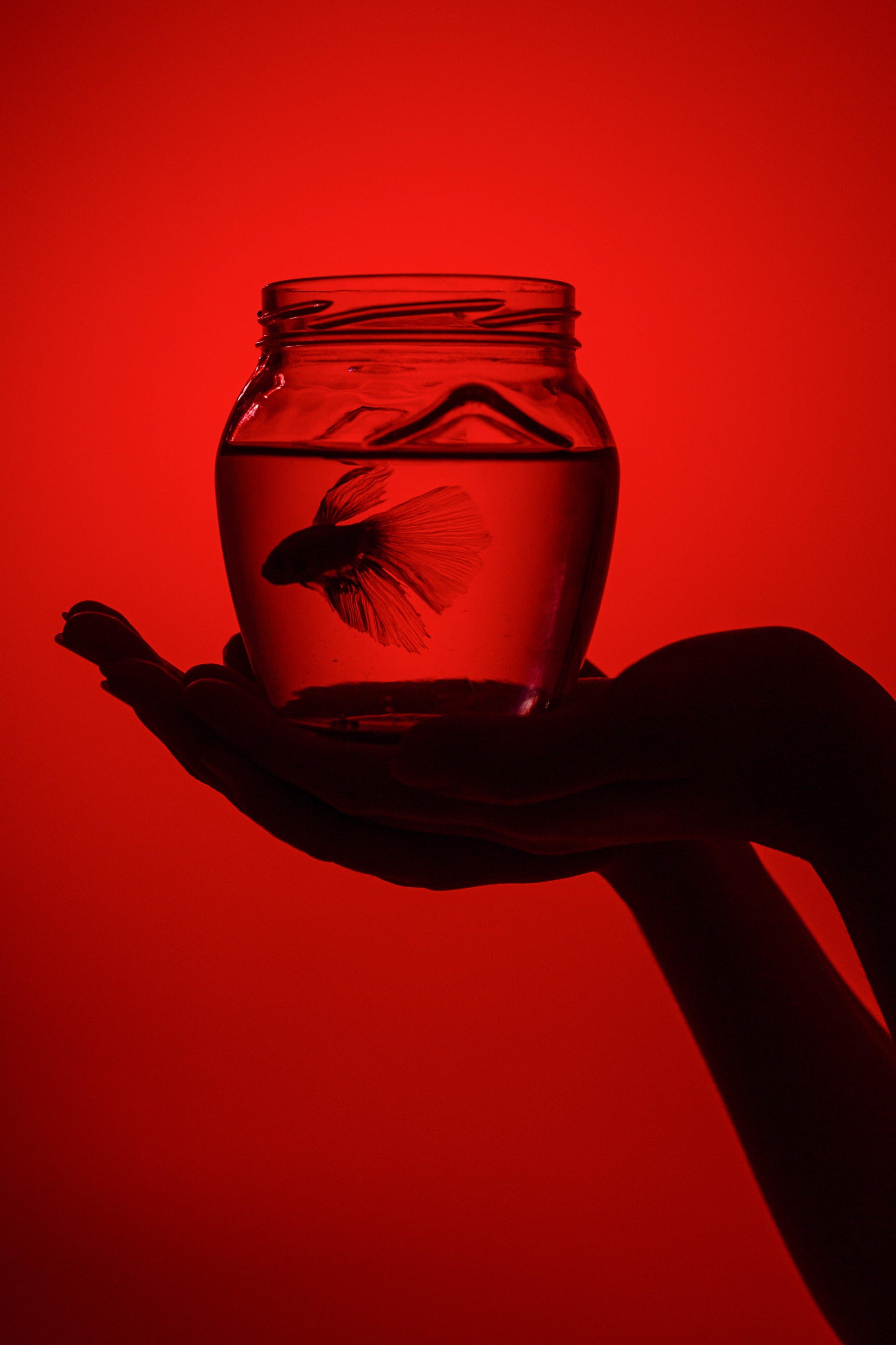 Внутренний кризис. Портретный фотограф в Минске