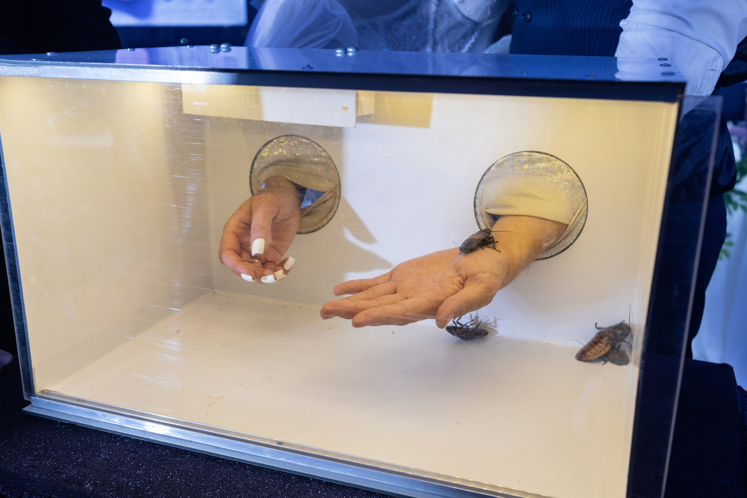 Сергей и Леся. Свадебный фотограф Нижний Новгород Кстово Богородск Павлово