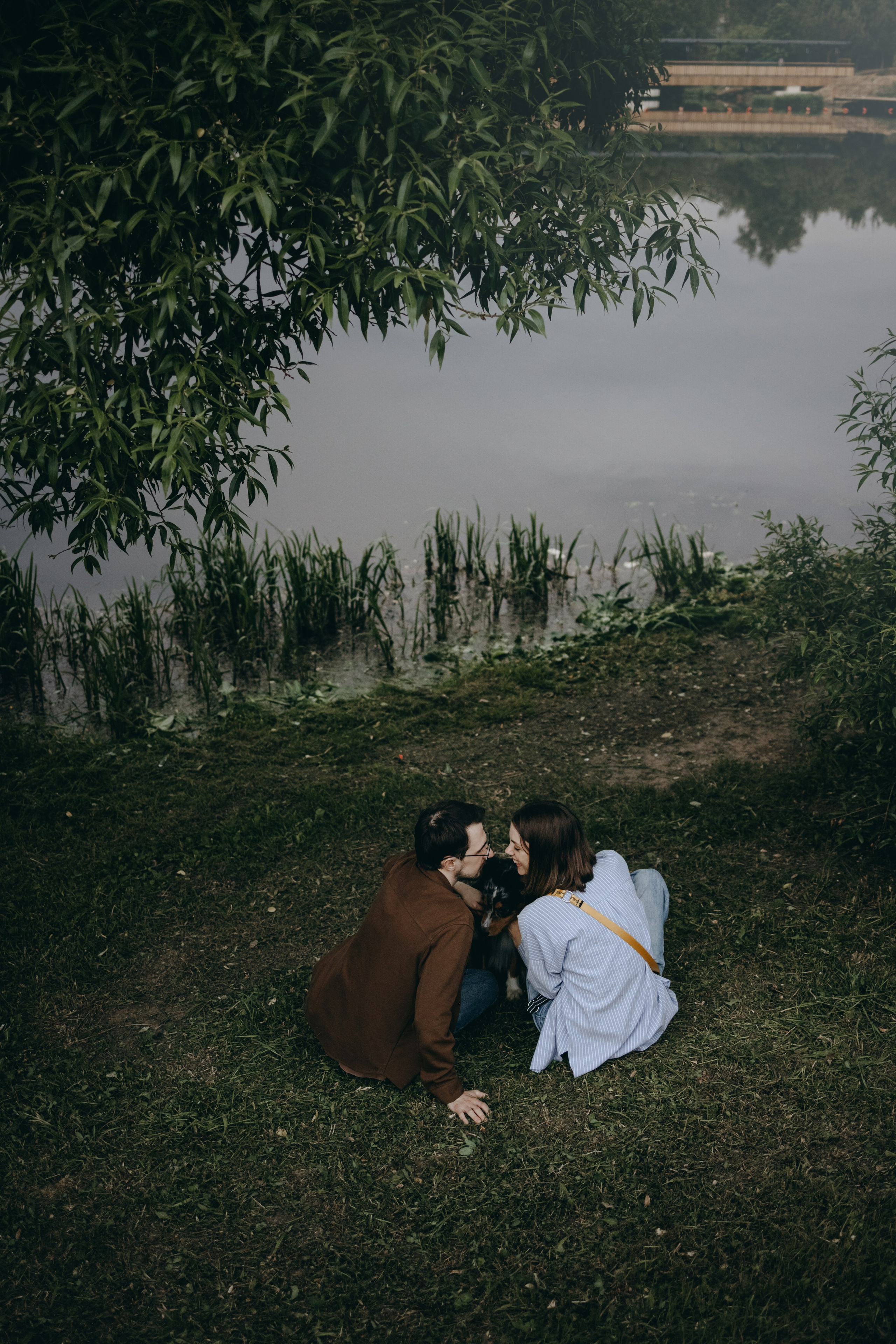 Настя, Никита и их Гром и Мяу. Фотограф — Анималист | Санкт-Петербург