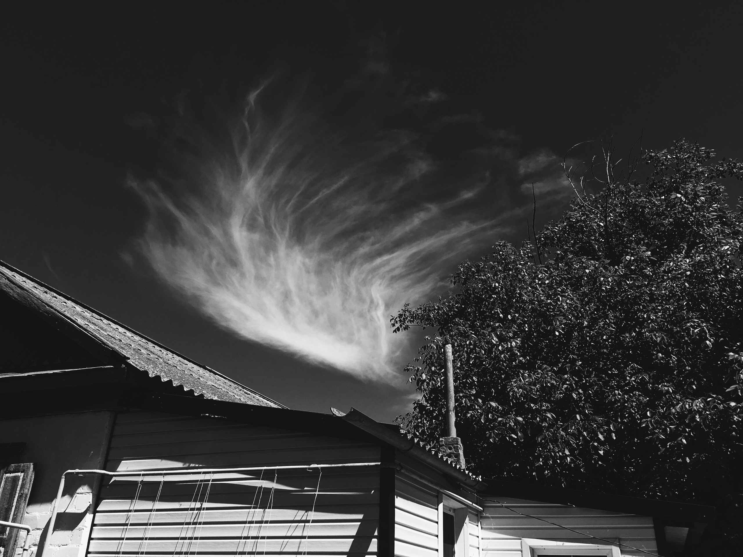 Визуальный дневник. Портретный фотограф в Москве Гахраманова Екатерина