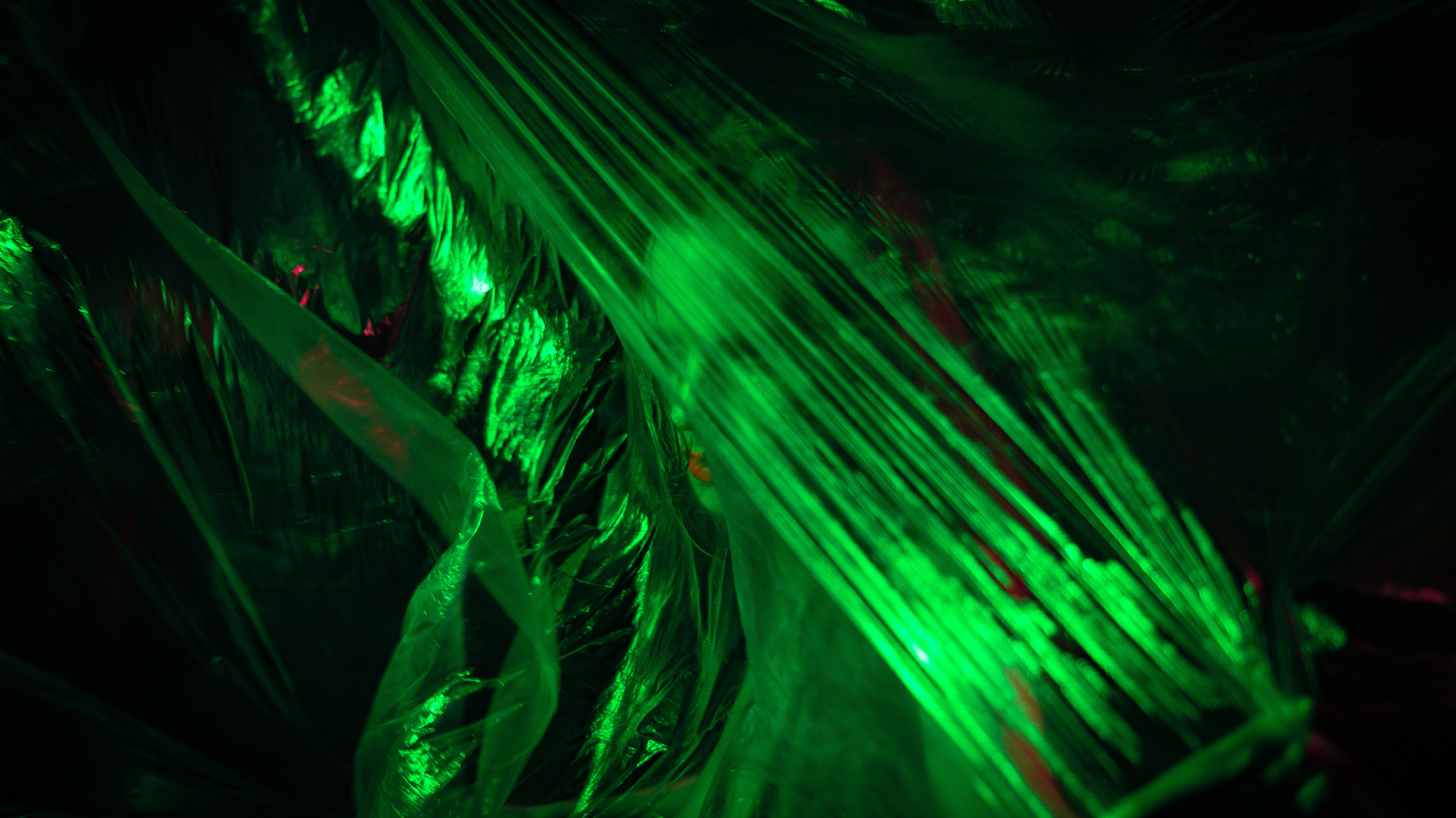 Дерзкий Неон. Фотограф в Краснодаре Данил Богданов