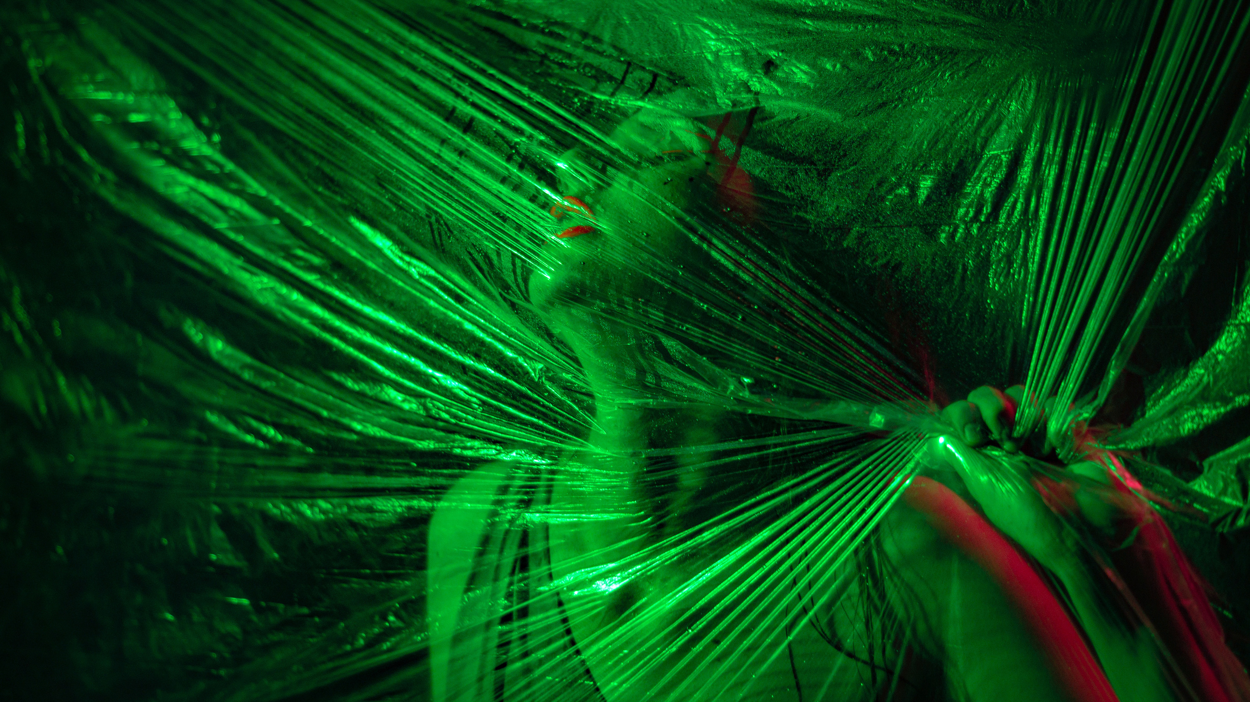 Дерзкий Неон. Фотограф в Краснодаре Данил Богданов