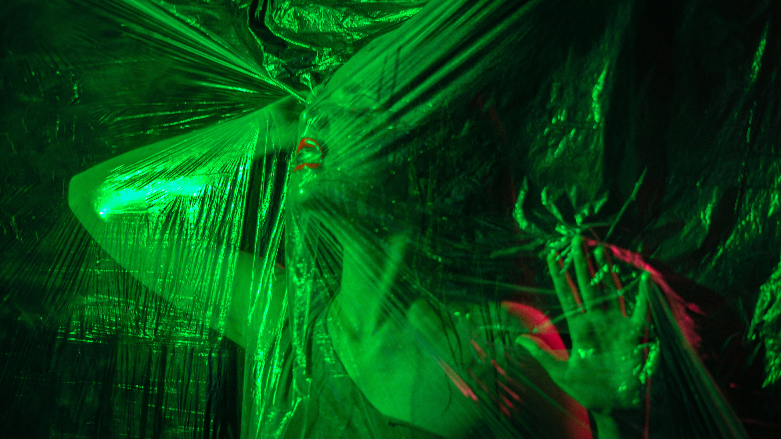 Дерзкий Неон. Фотограф в Краснодаре Данил Богданов